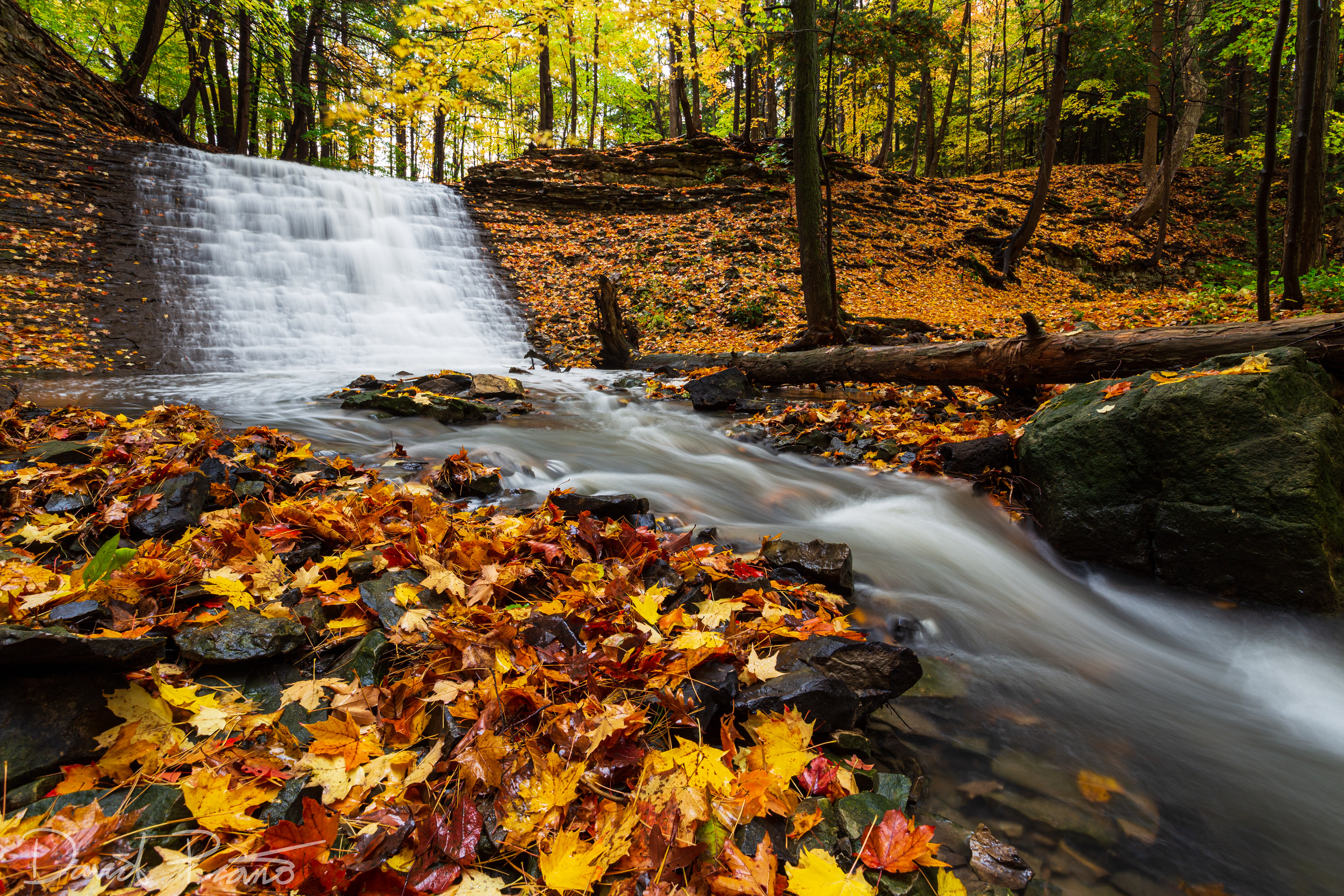 Washboard Falls - Ancaster, ON - October 2016