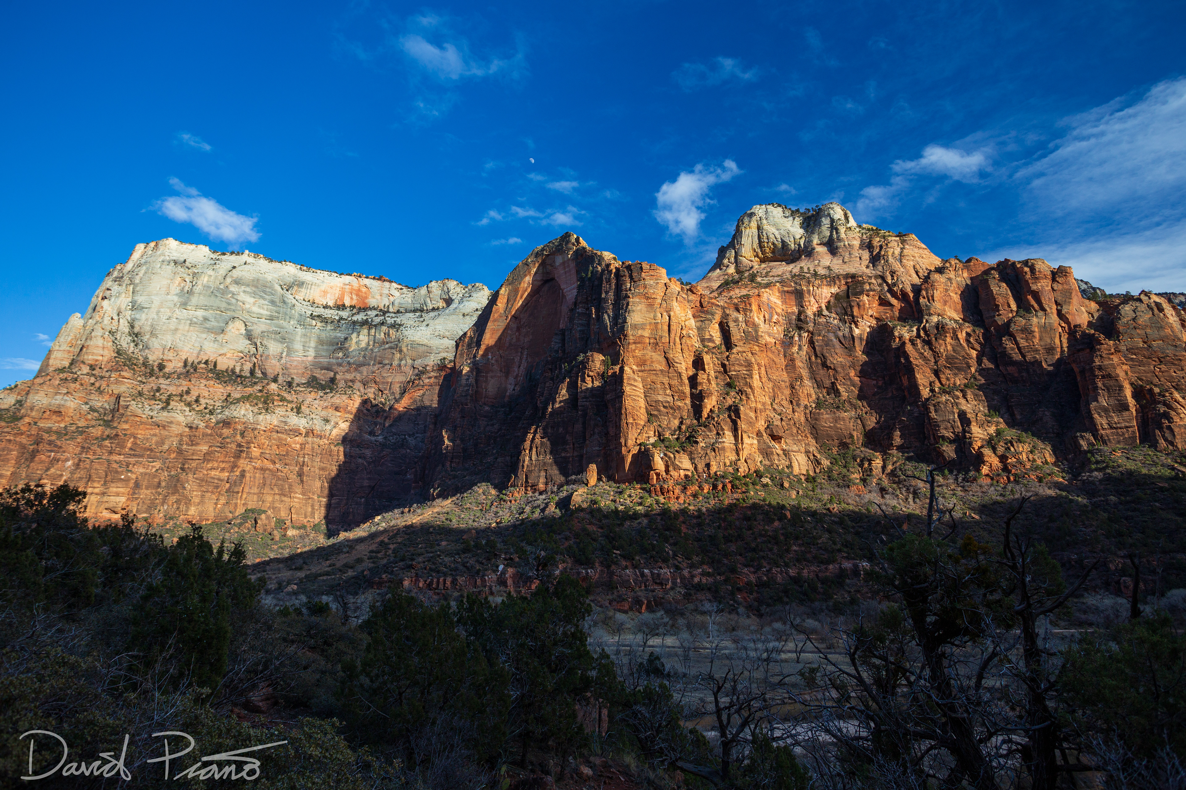 Zion Canyon - Feb. 2020