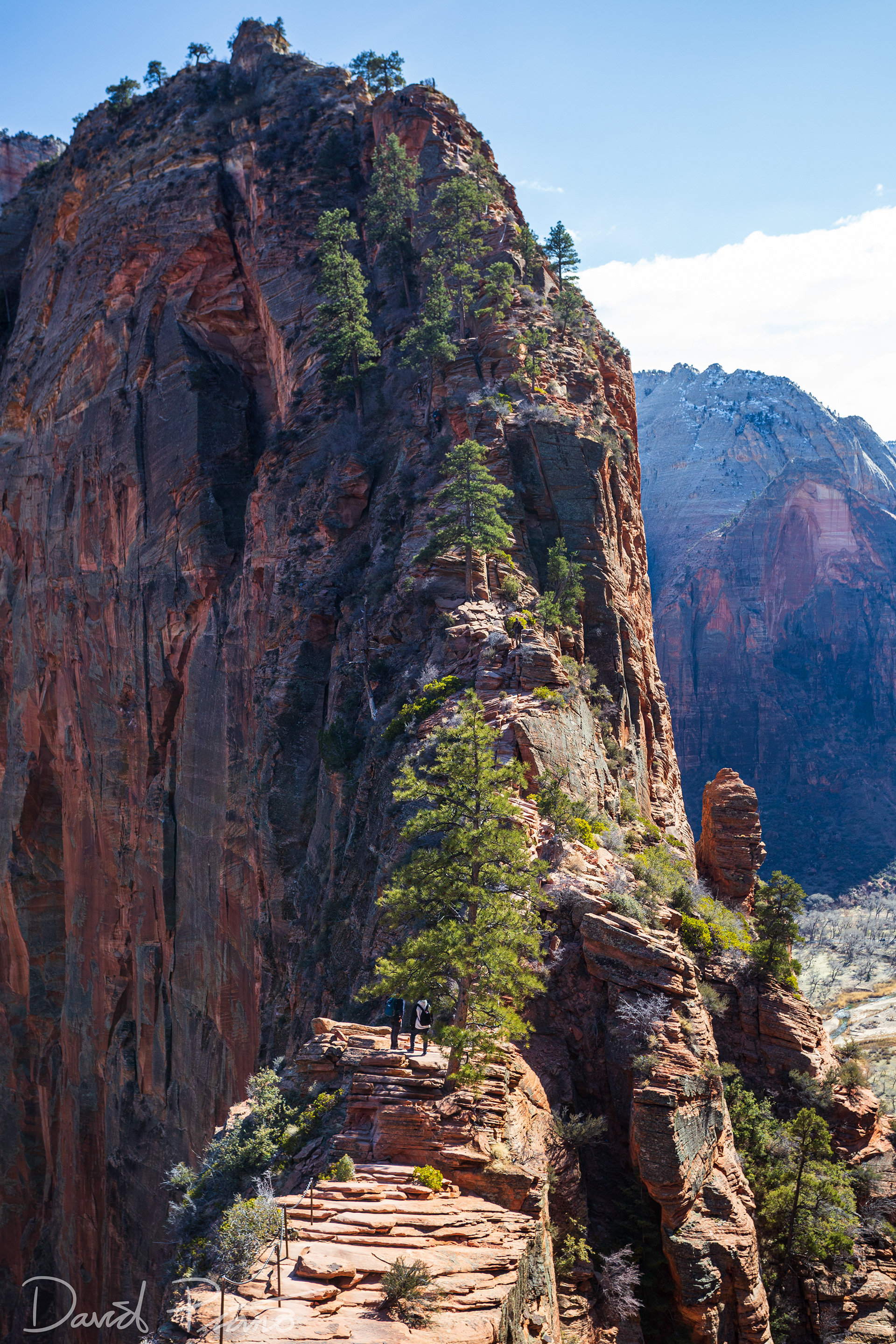 Angel's Landing Trail - Feb. 2020