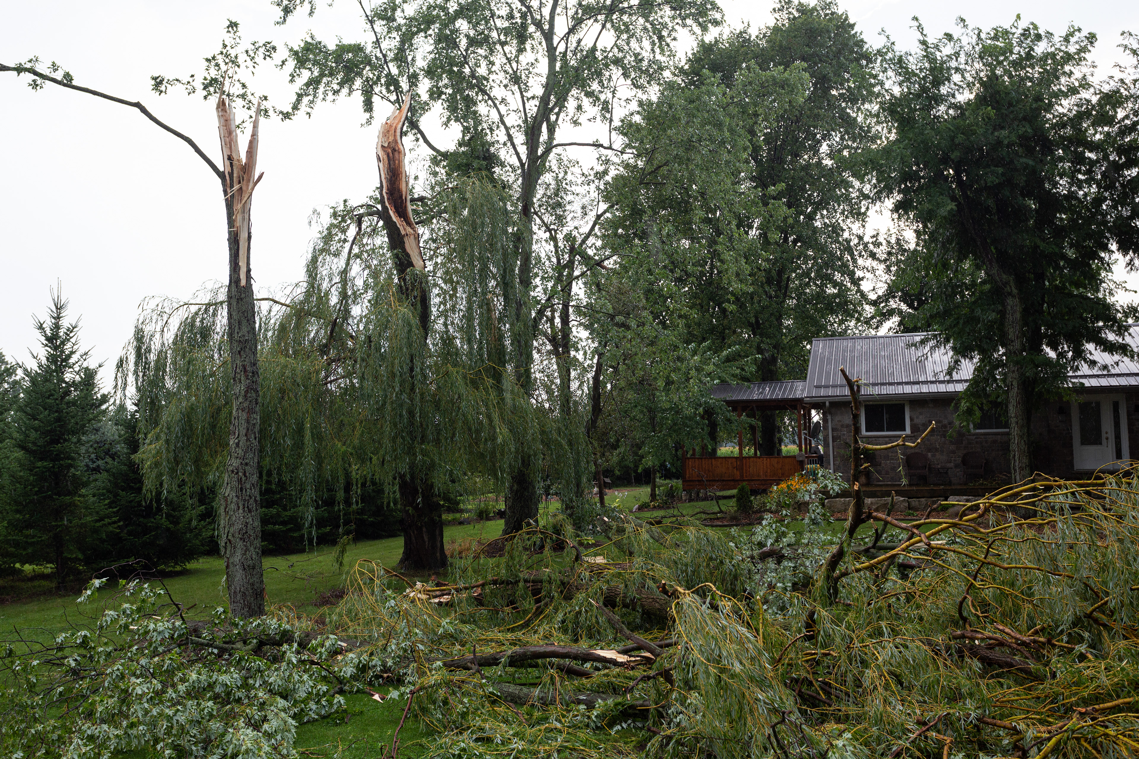 Microburst damage just NE of the London Airport