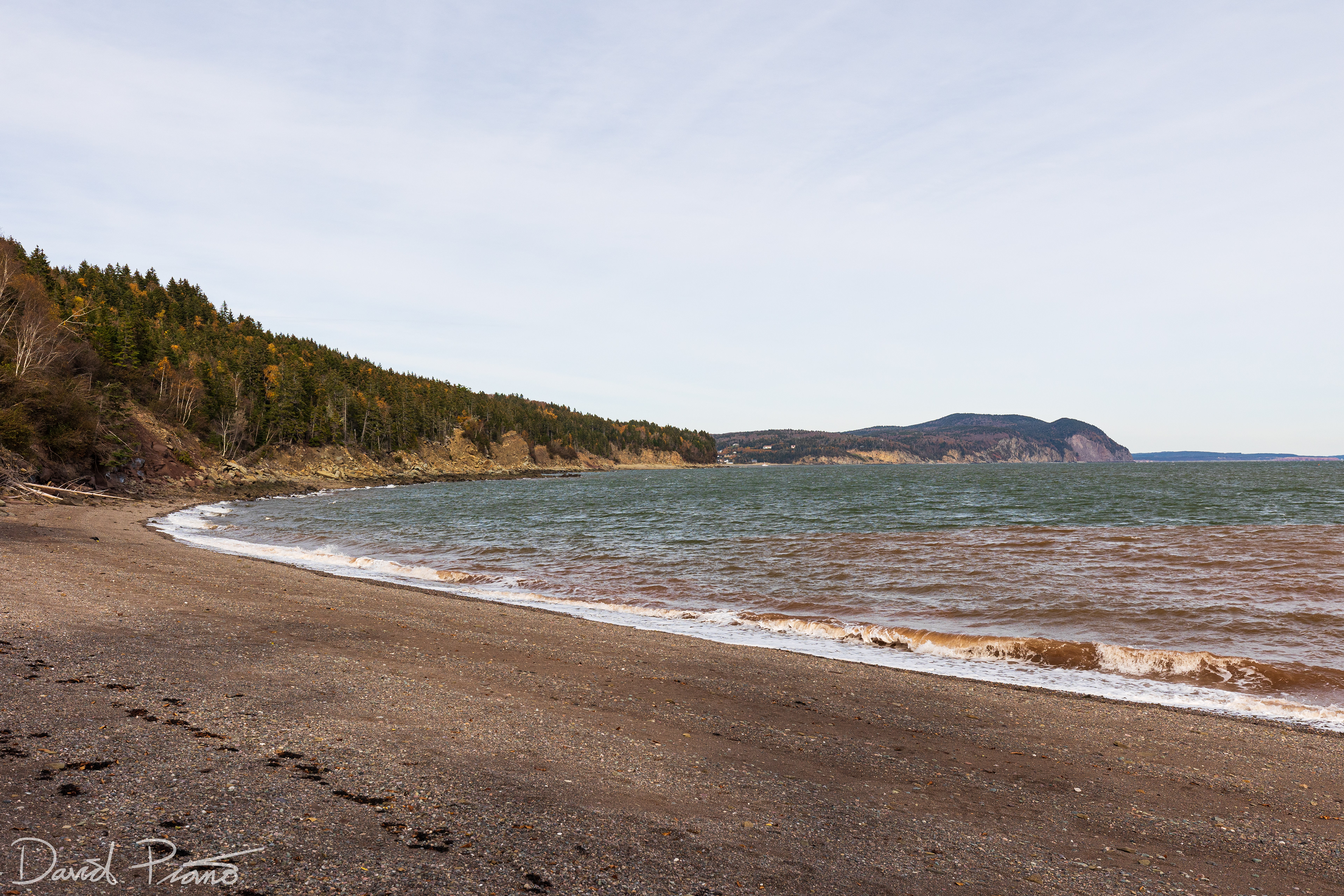 Herring Cove