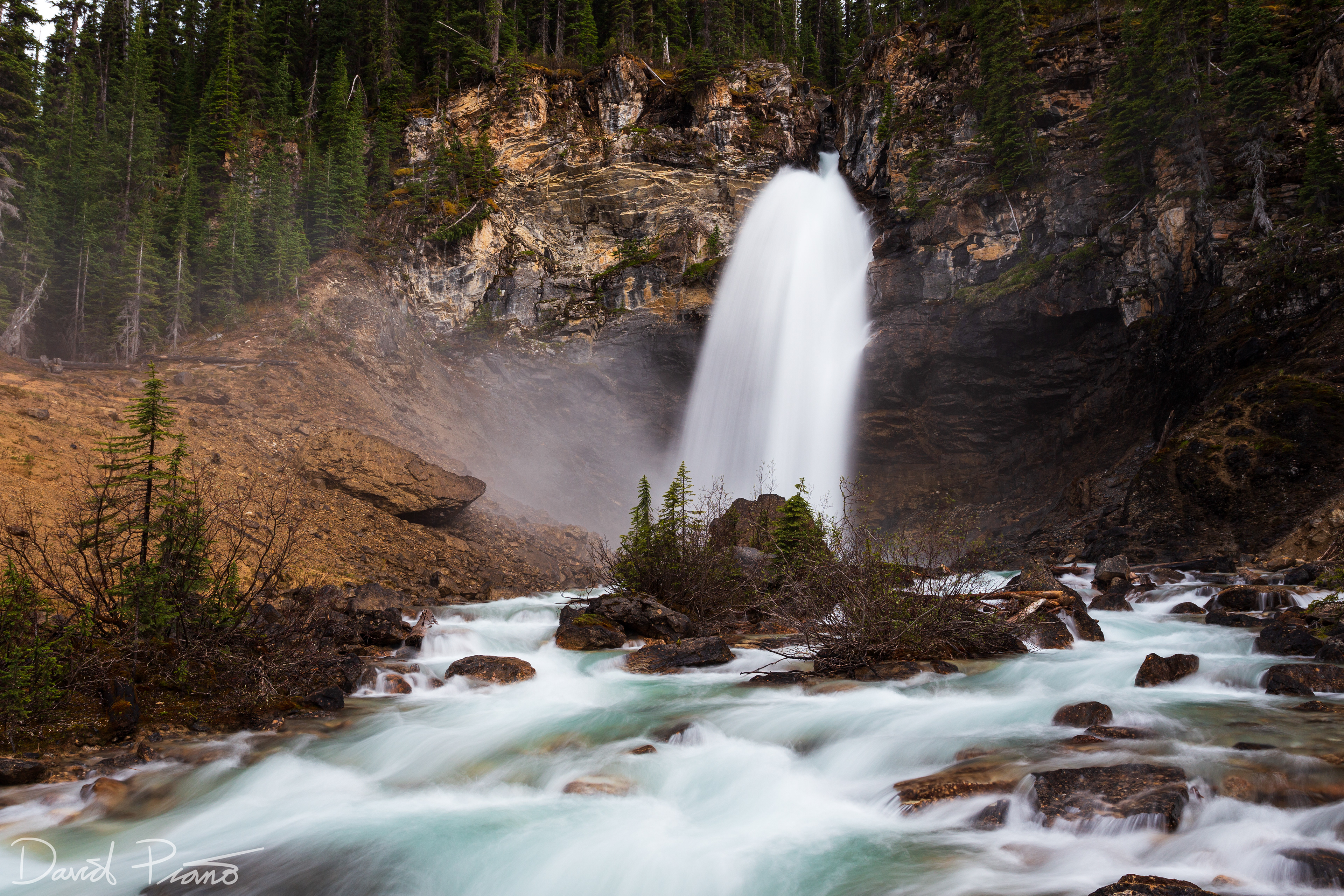 Laughing Falls - Yoho National Park
