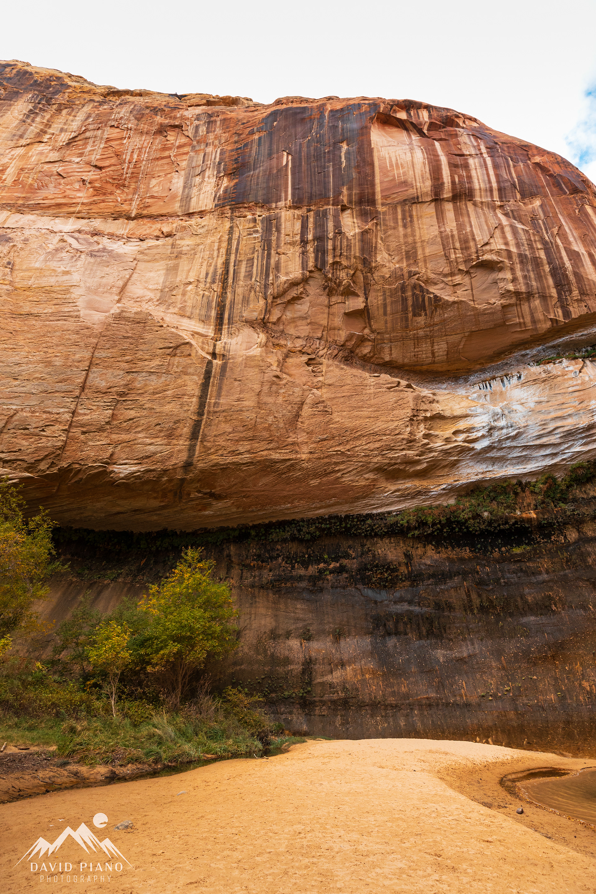 Sheer canyon walls at Lower Calf Creek Falls