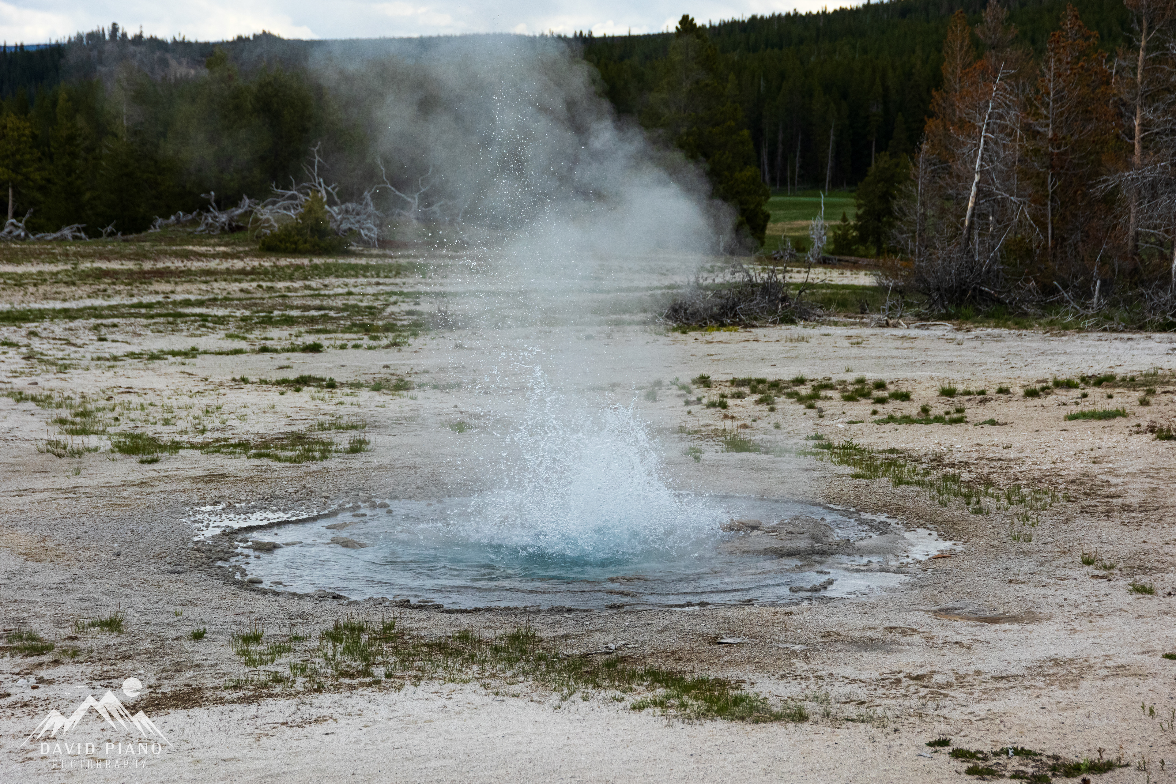 Twig Geyser