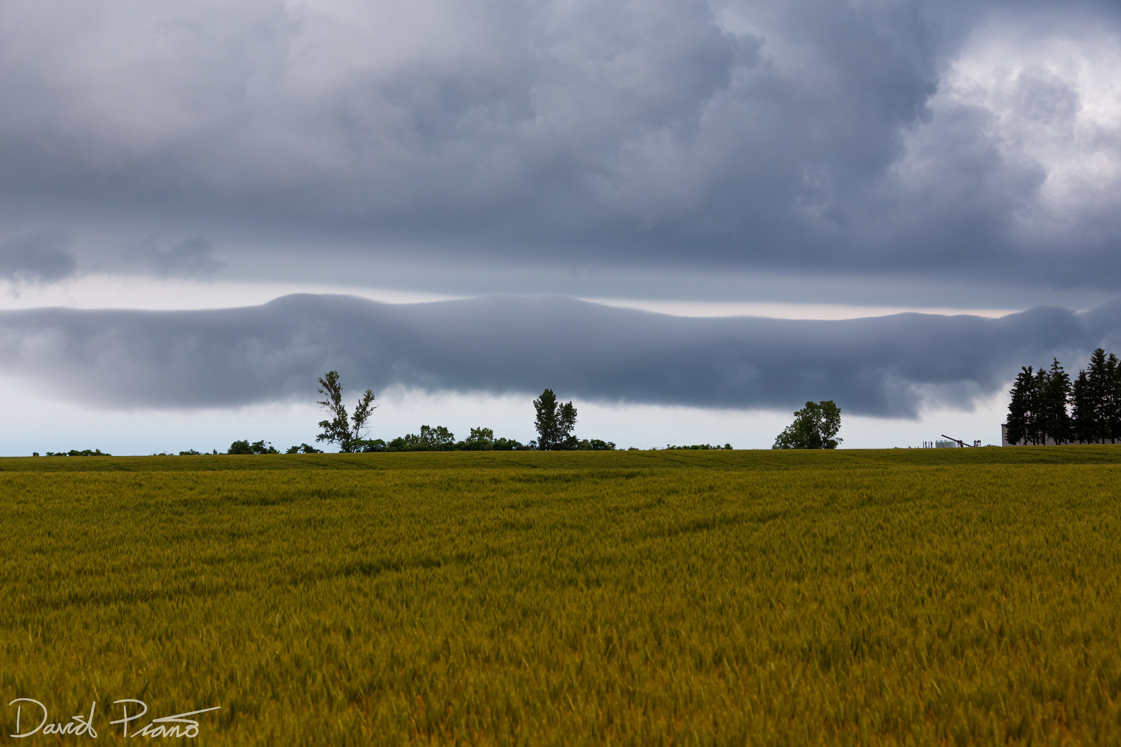 This roll cloud formed over Lake Erie as cold t-storm outflow surged over the water