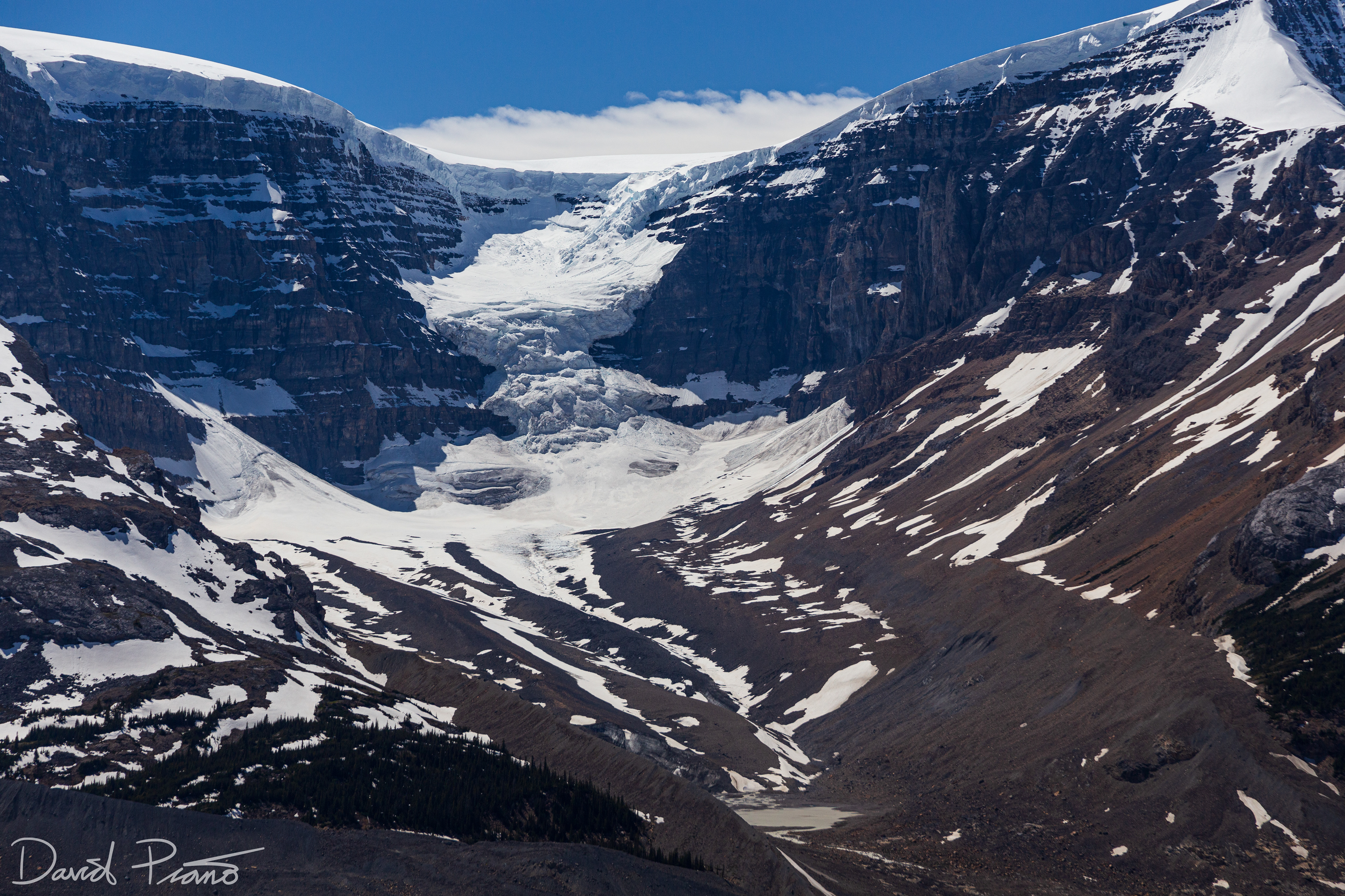 Columbia Icefields