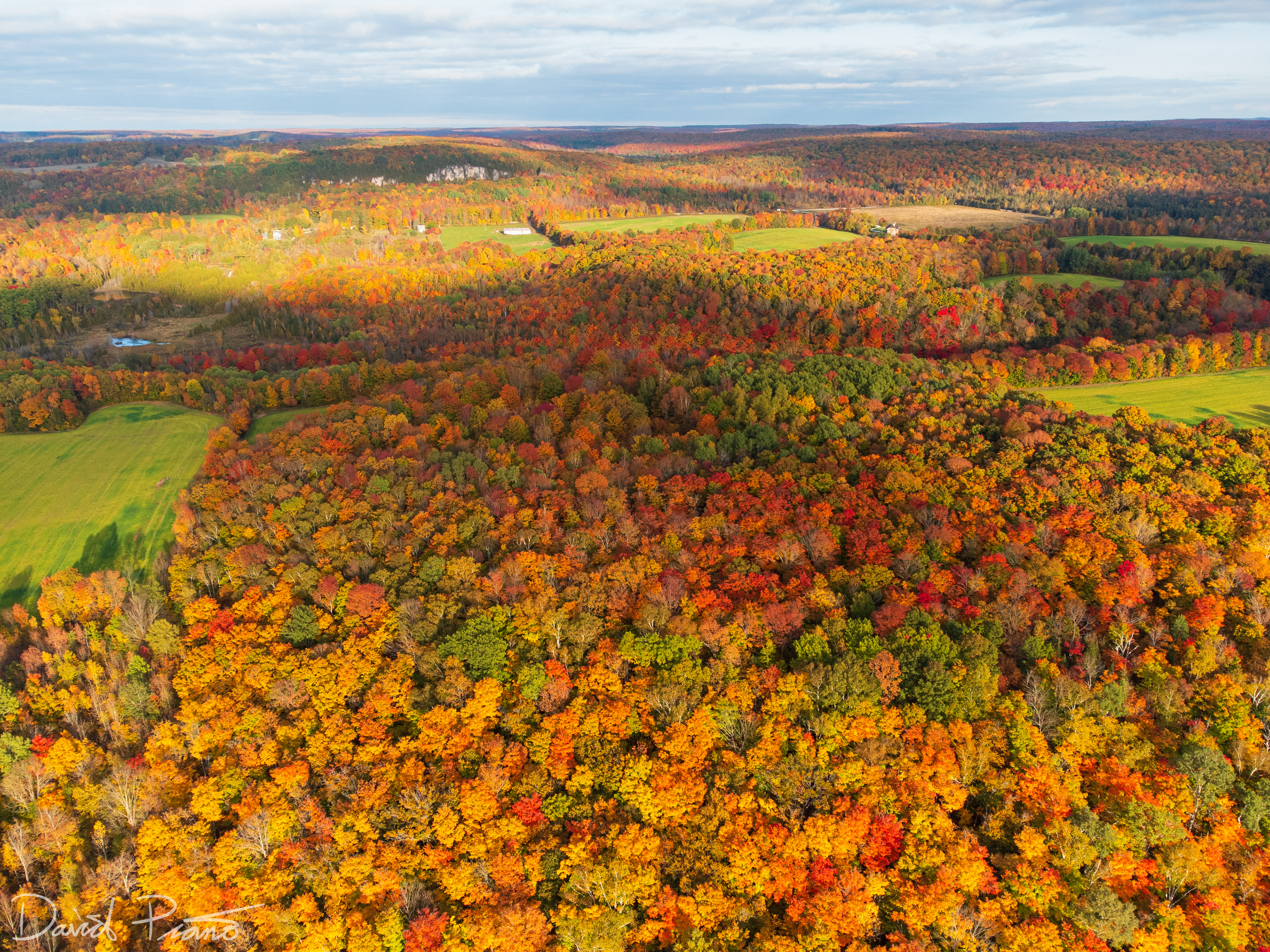 Fall colours in the Kolapore Uplands - October 2021