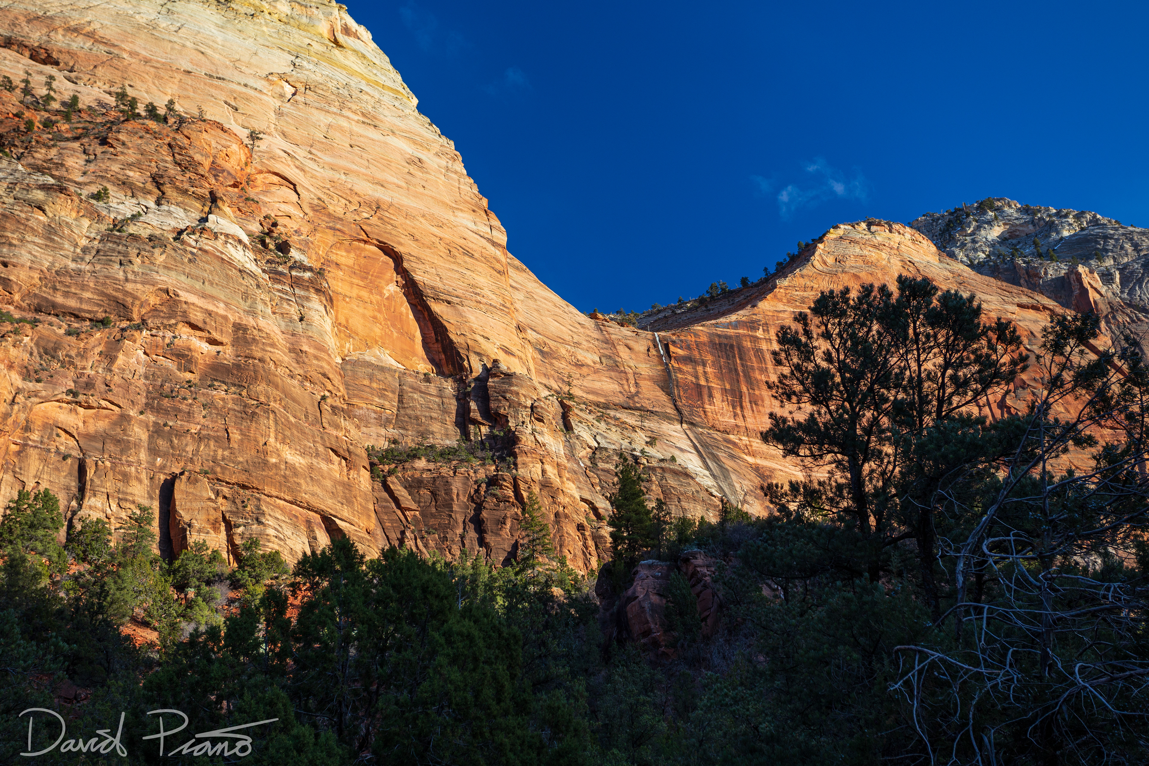 Zion Canyon - Feb. 2020