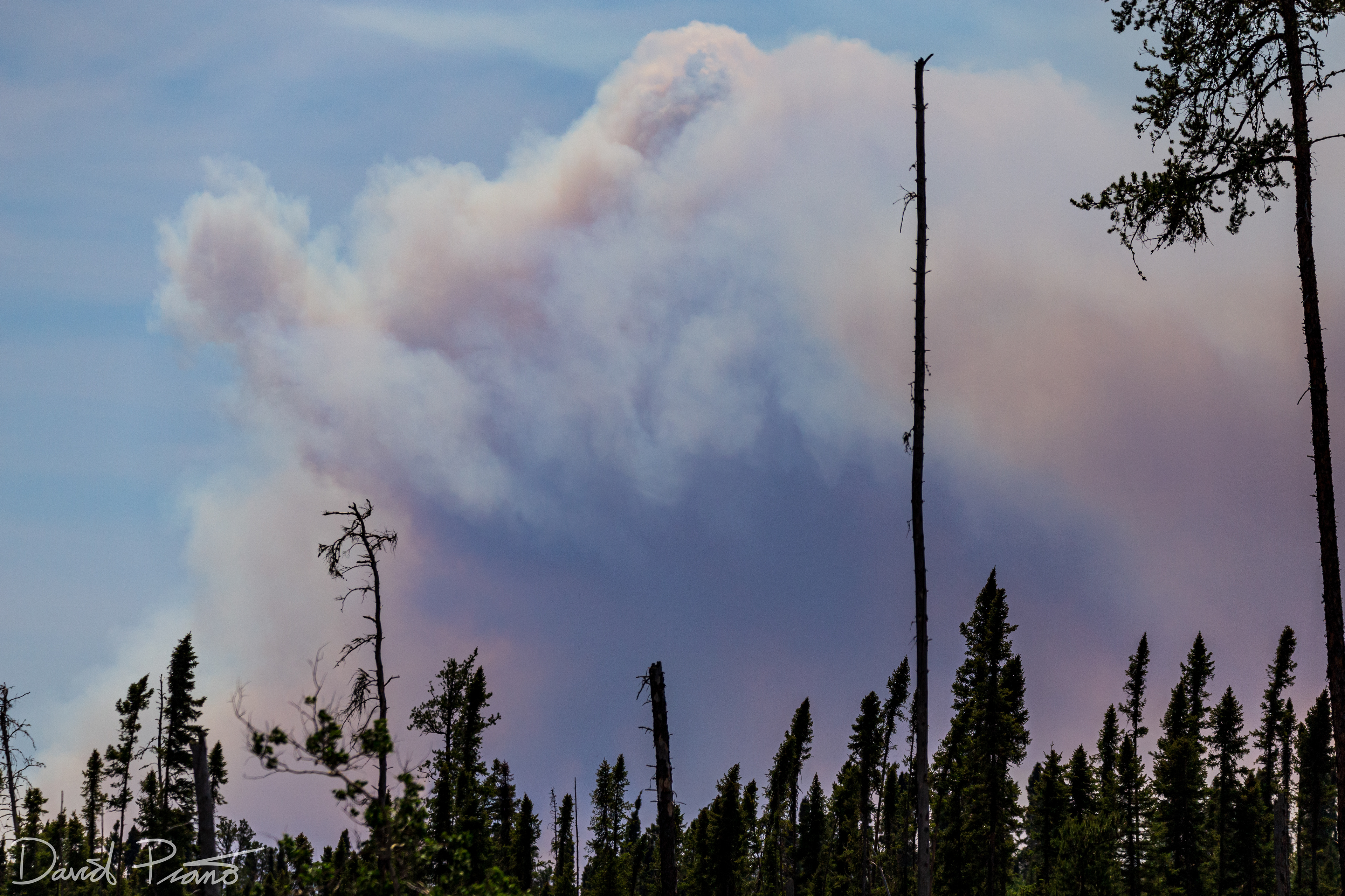Forest fire burning near Upsala in NW Ontario - June 2021