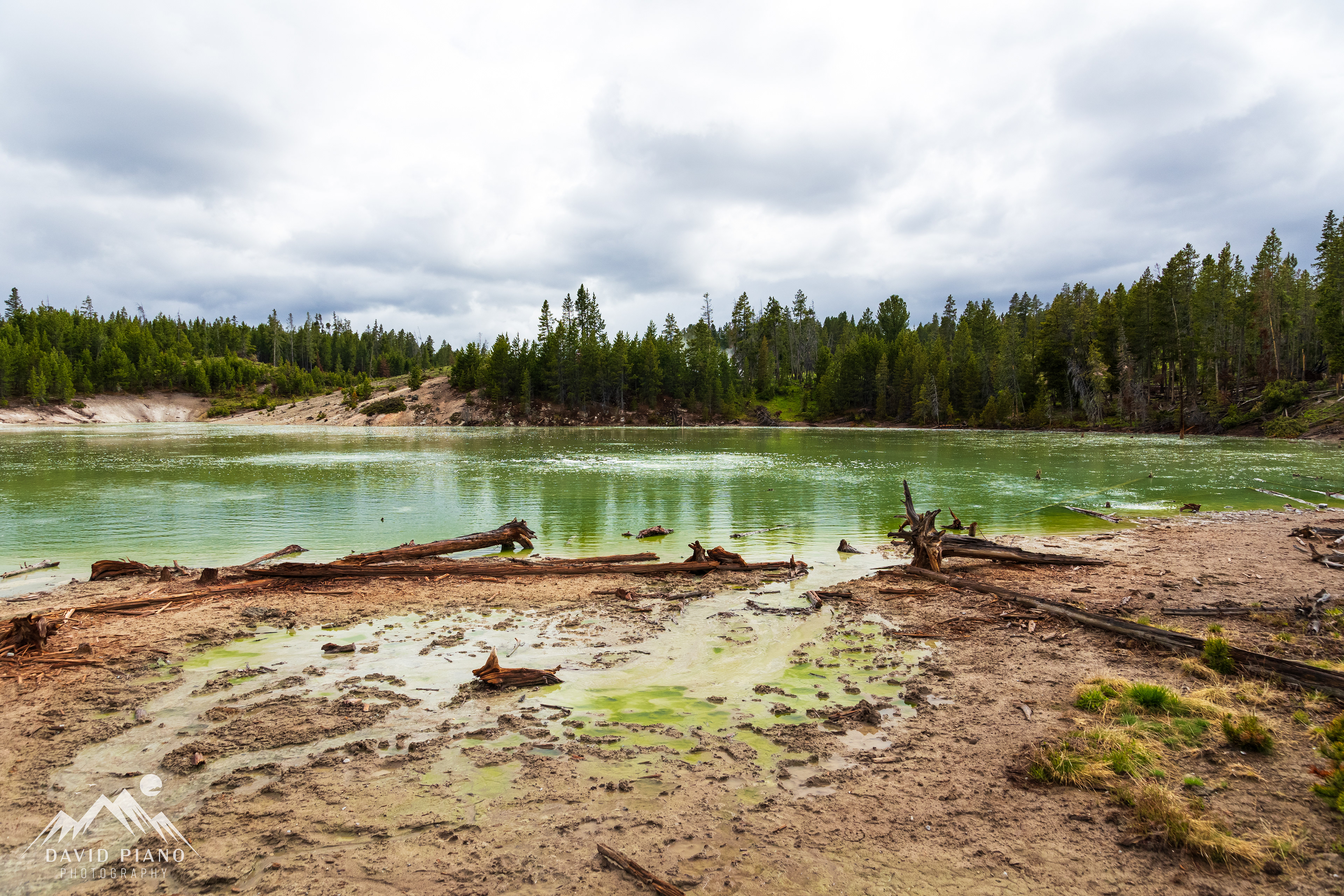 Sour Lake