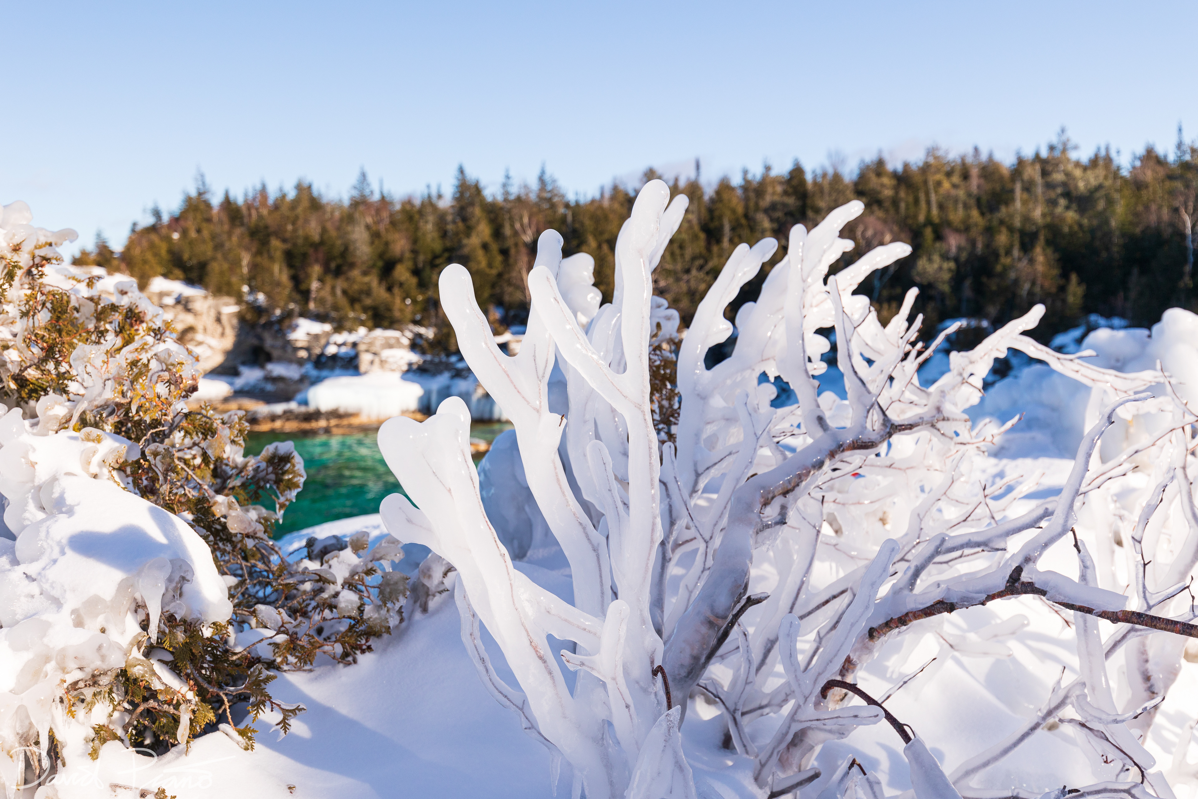 Winter scene at Indian Head Cove