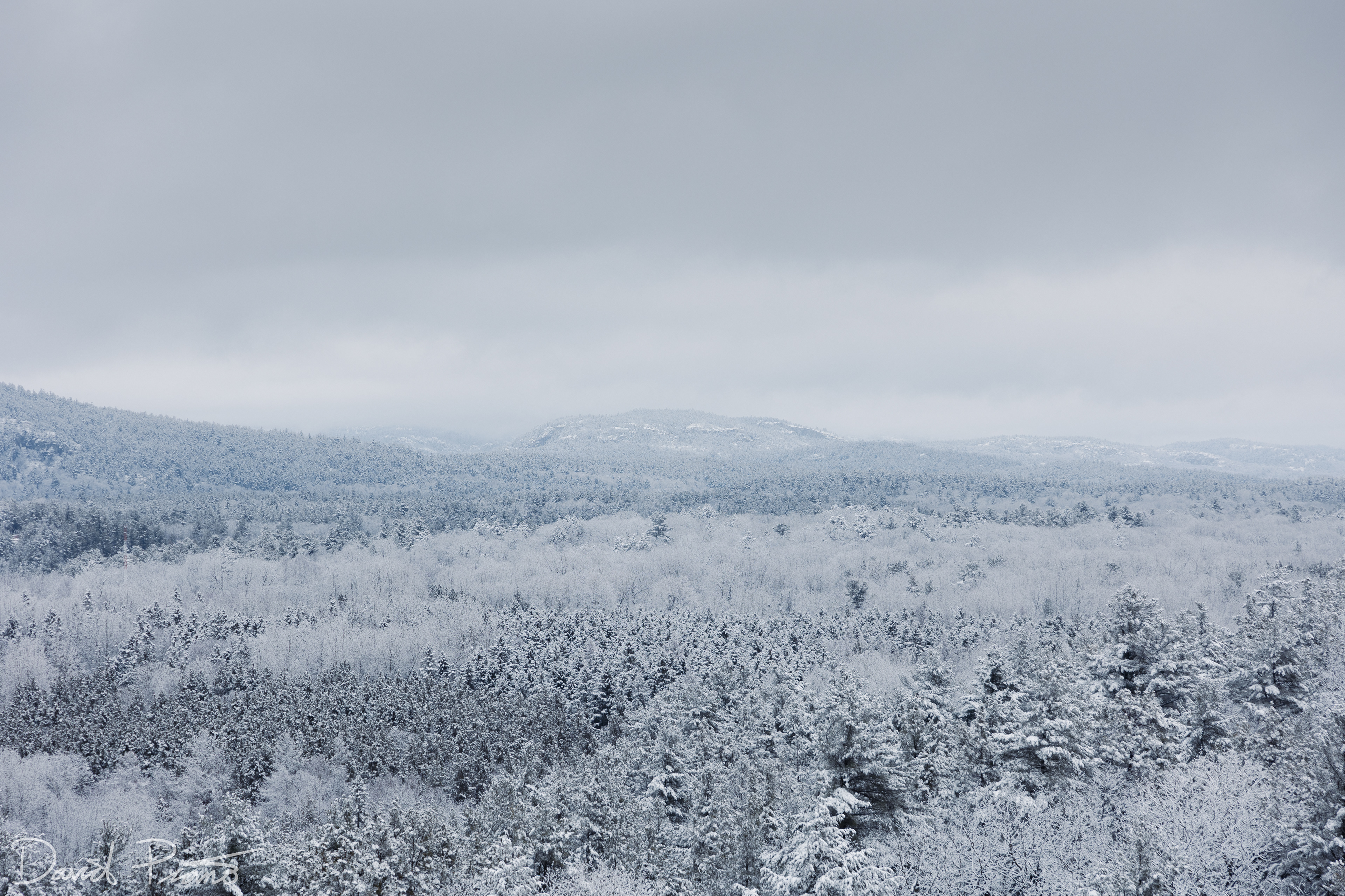 Snow-globe scenes at Killarney Provincial Park after a fresh snowfall - 03/25/2022