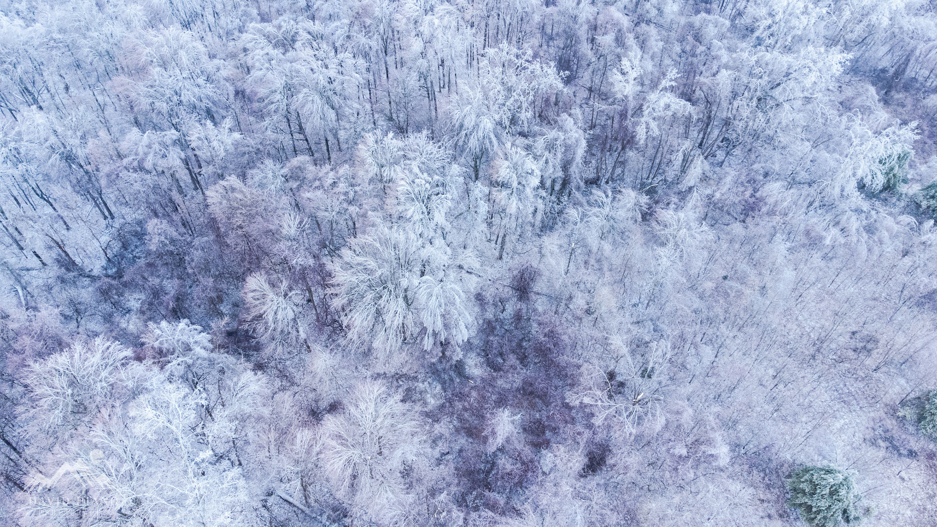 Drone views of an ice storm in Norfolk County, ON on Feb 23, 2023