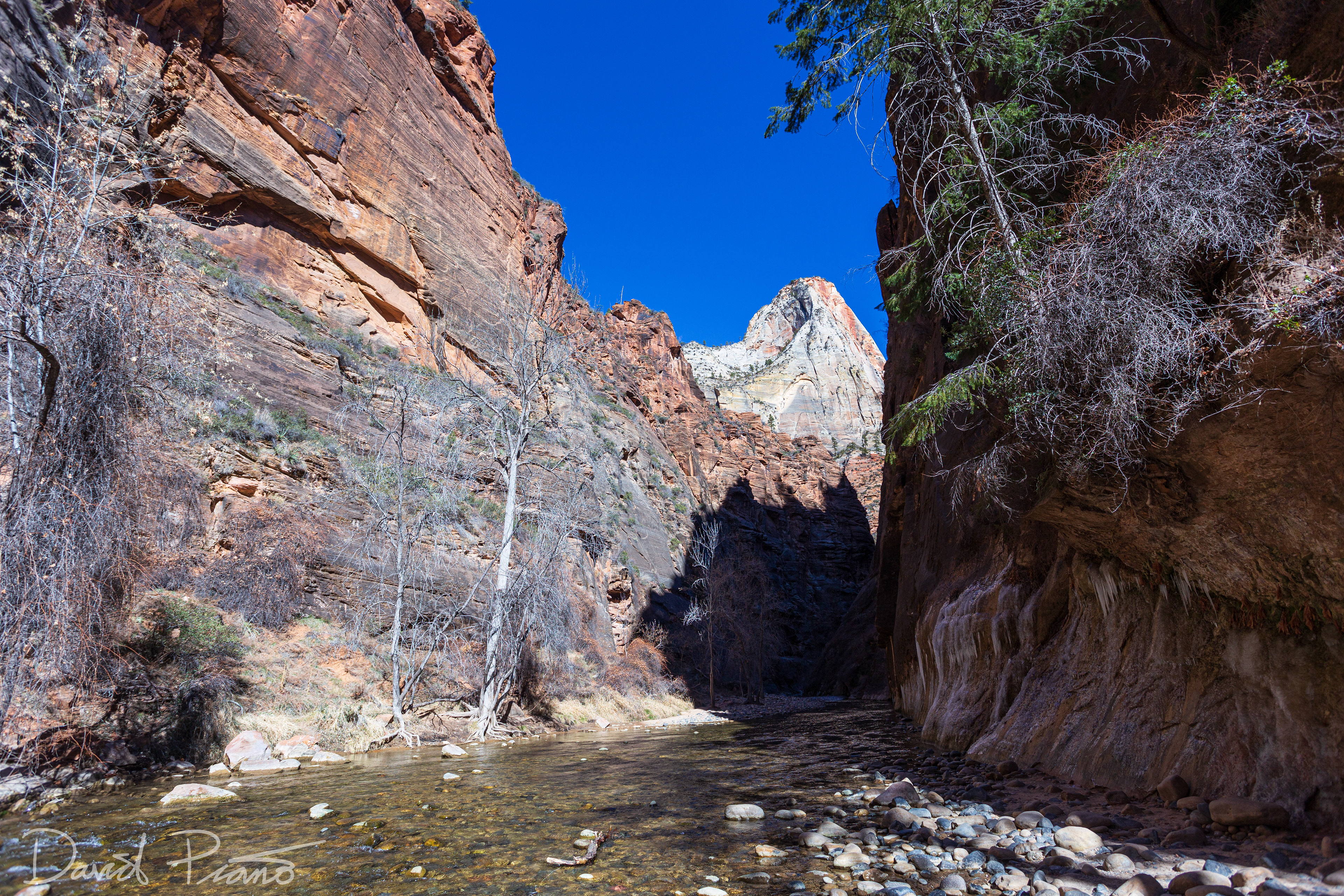 Virgin River in Zion Canyon - Feb. 2020