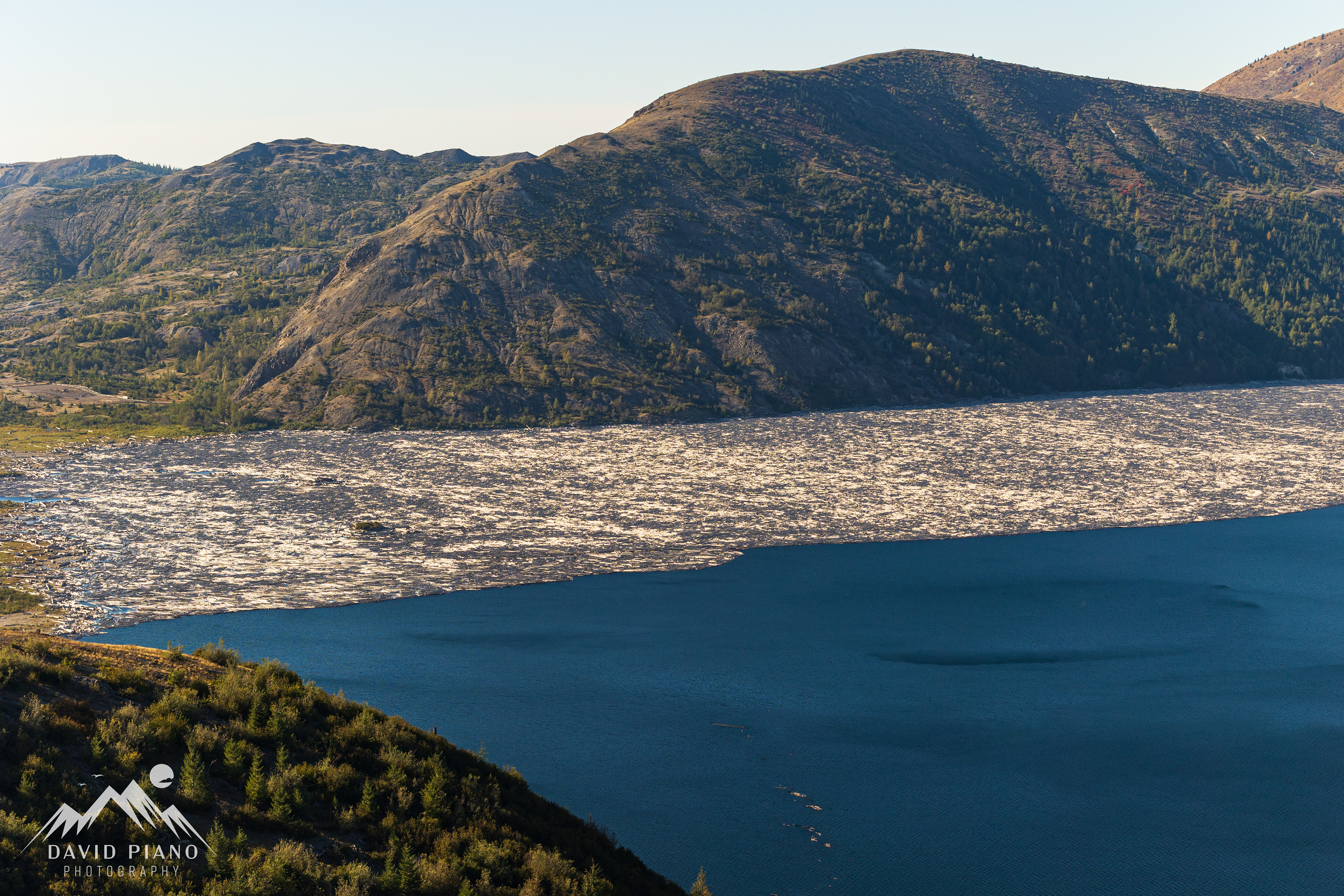 Old growth timber decimated by the 1980 eruption of Mt. St. Helens floats atop Spirit Lake to this day.