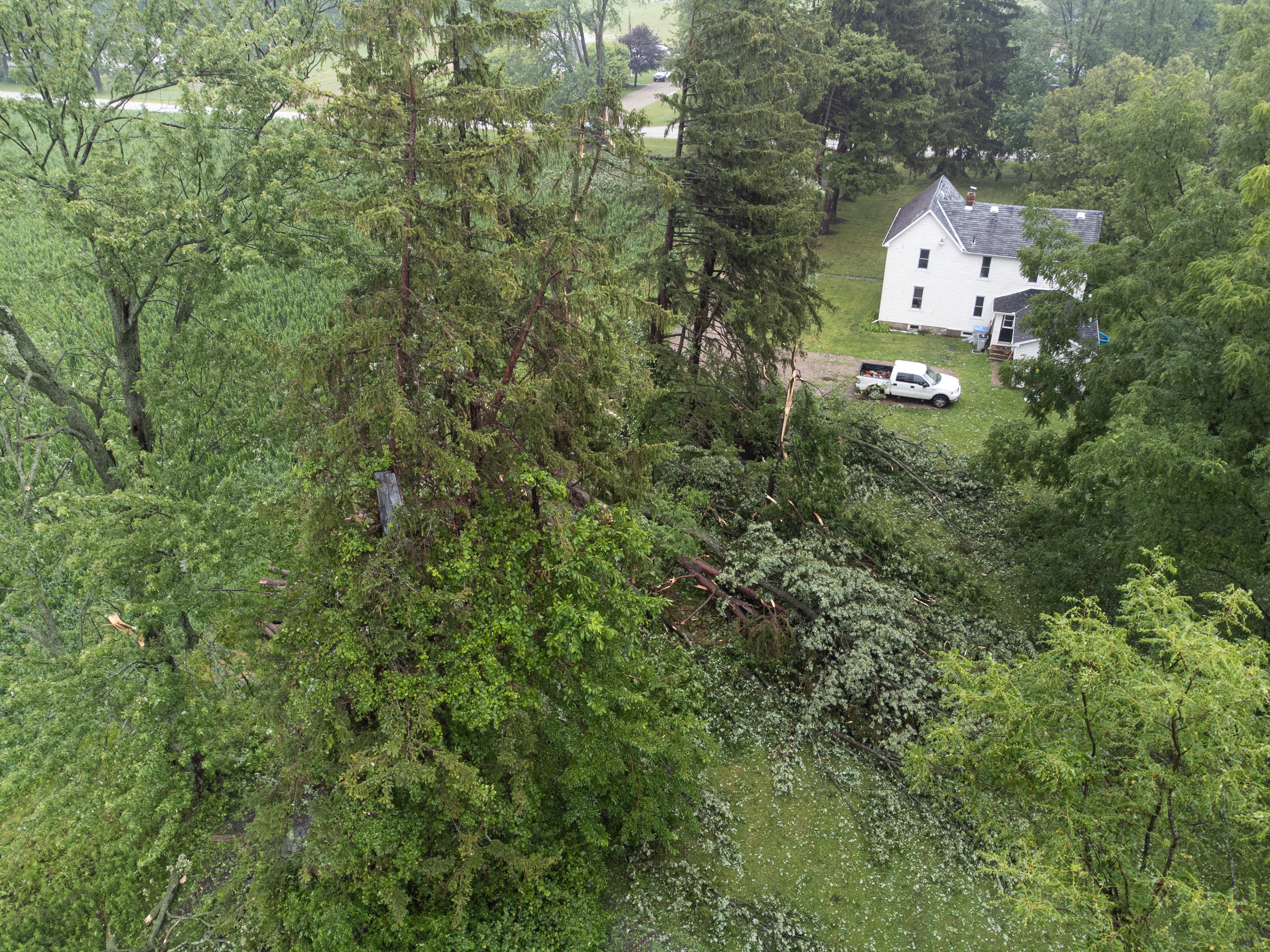 July 7 - Aerial view of downburst damage near Cairo in Lambton County from supercell RFD winds