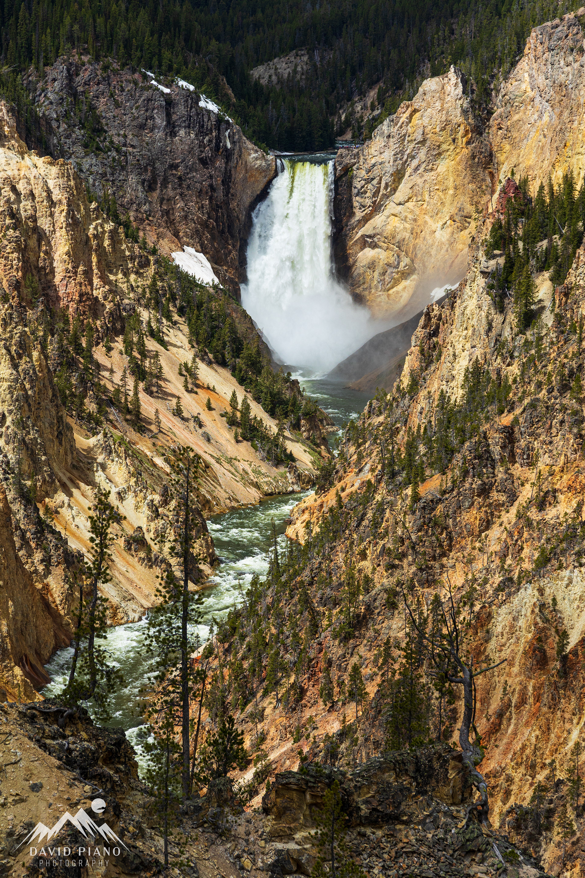 Lower Falls of the Yellowstone River