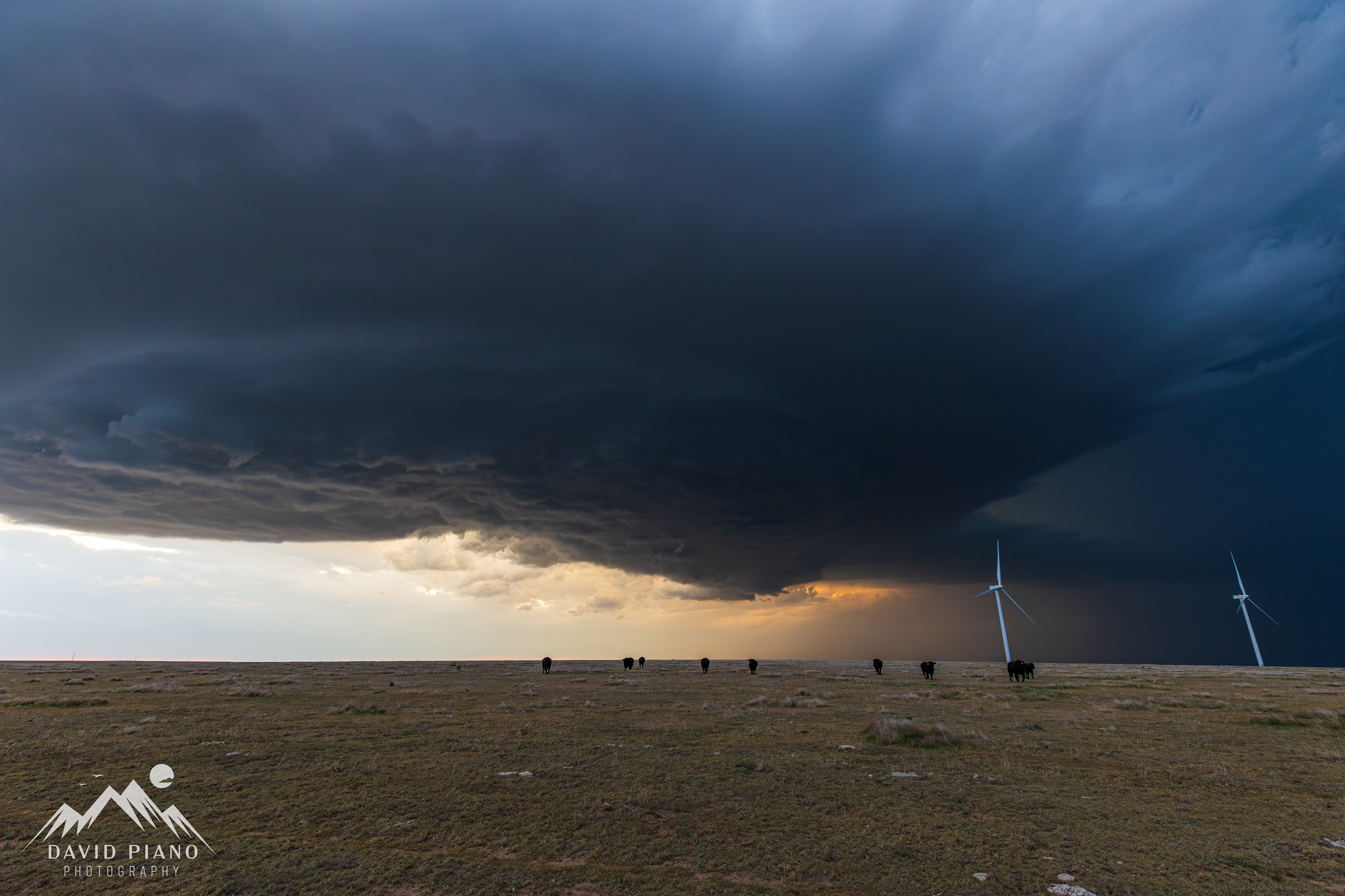 A stunning supercell begins to take shape at sunset