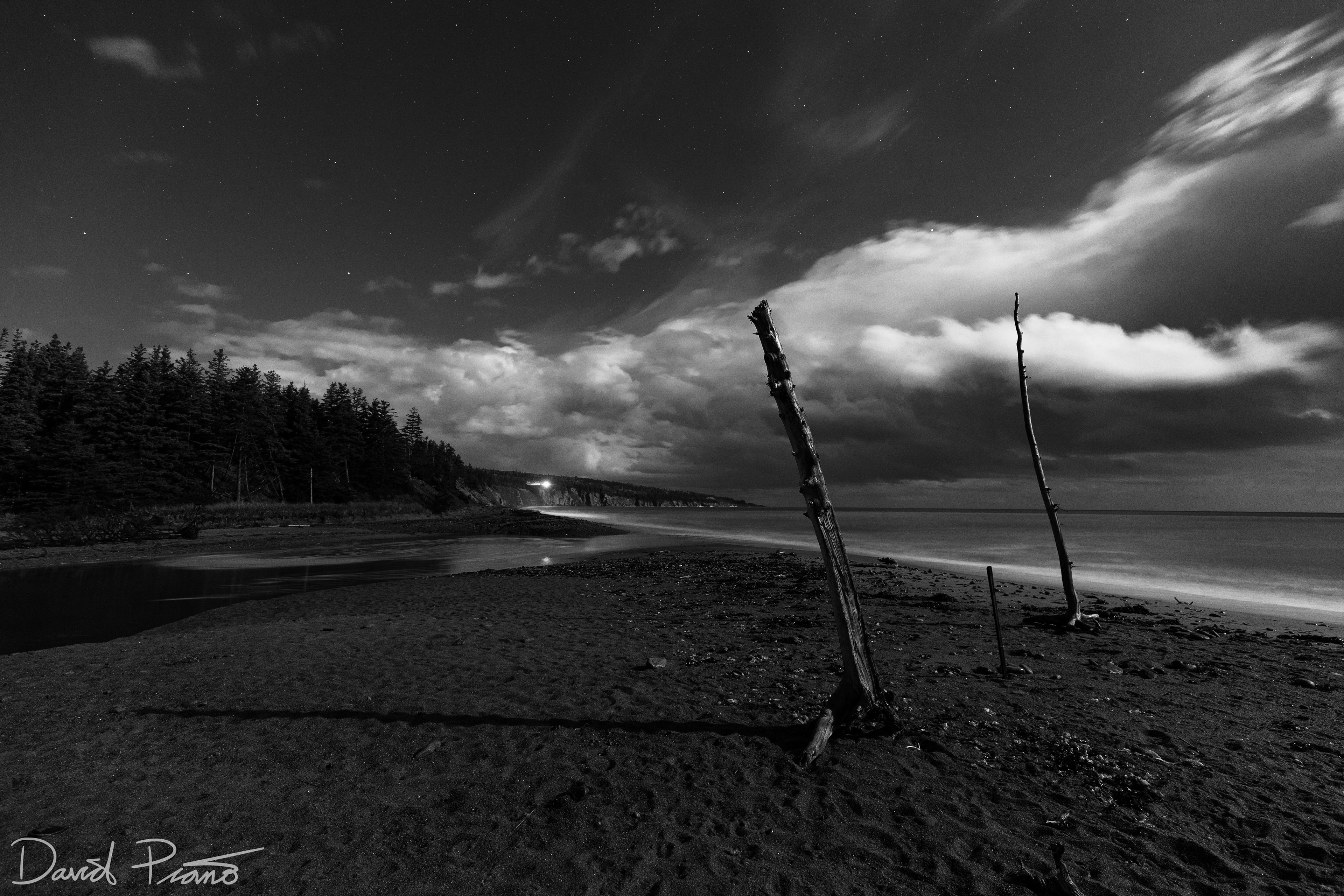 Broad Cove Beach under moonlight