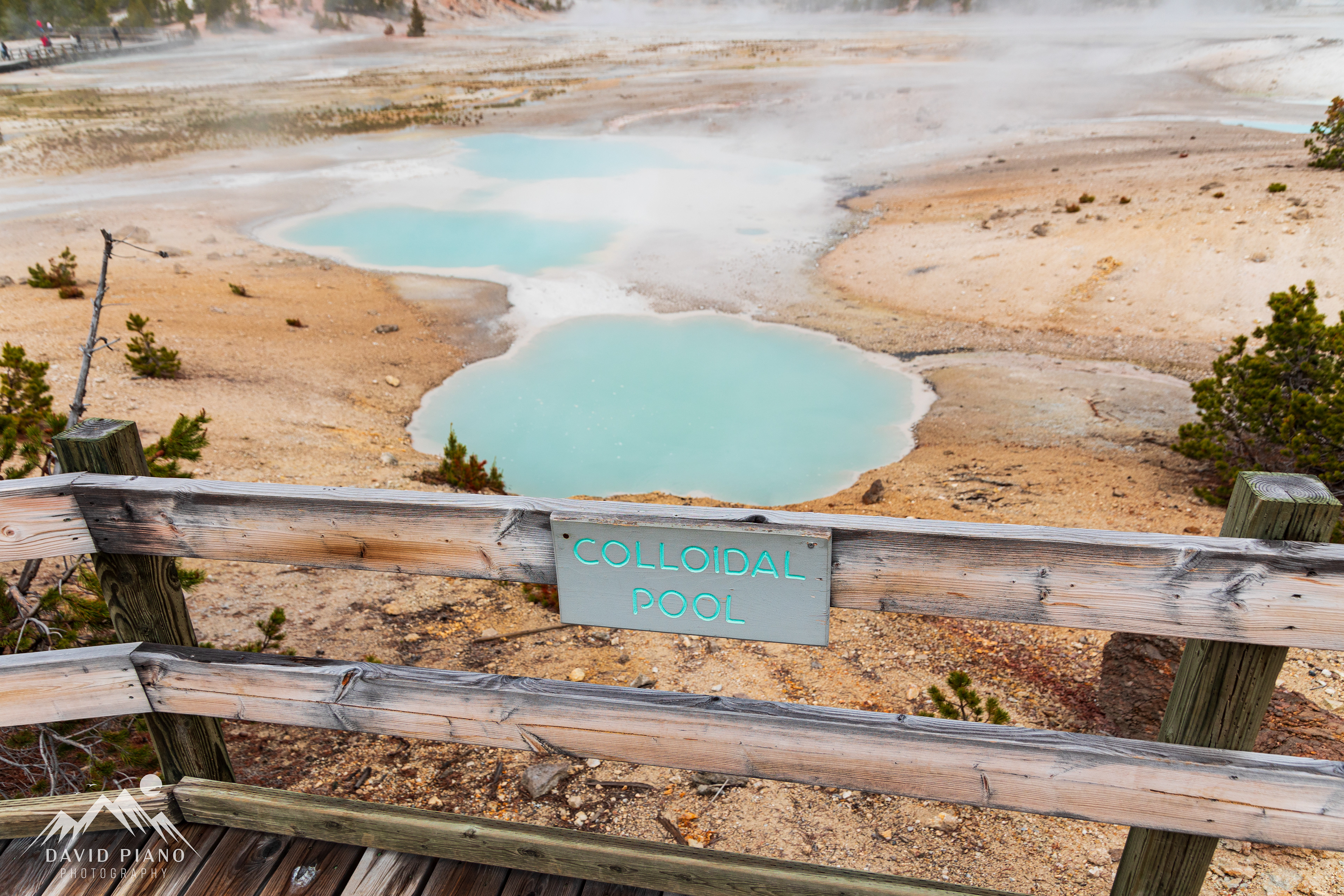 Colloidal Pool