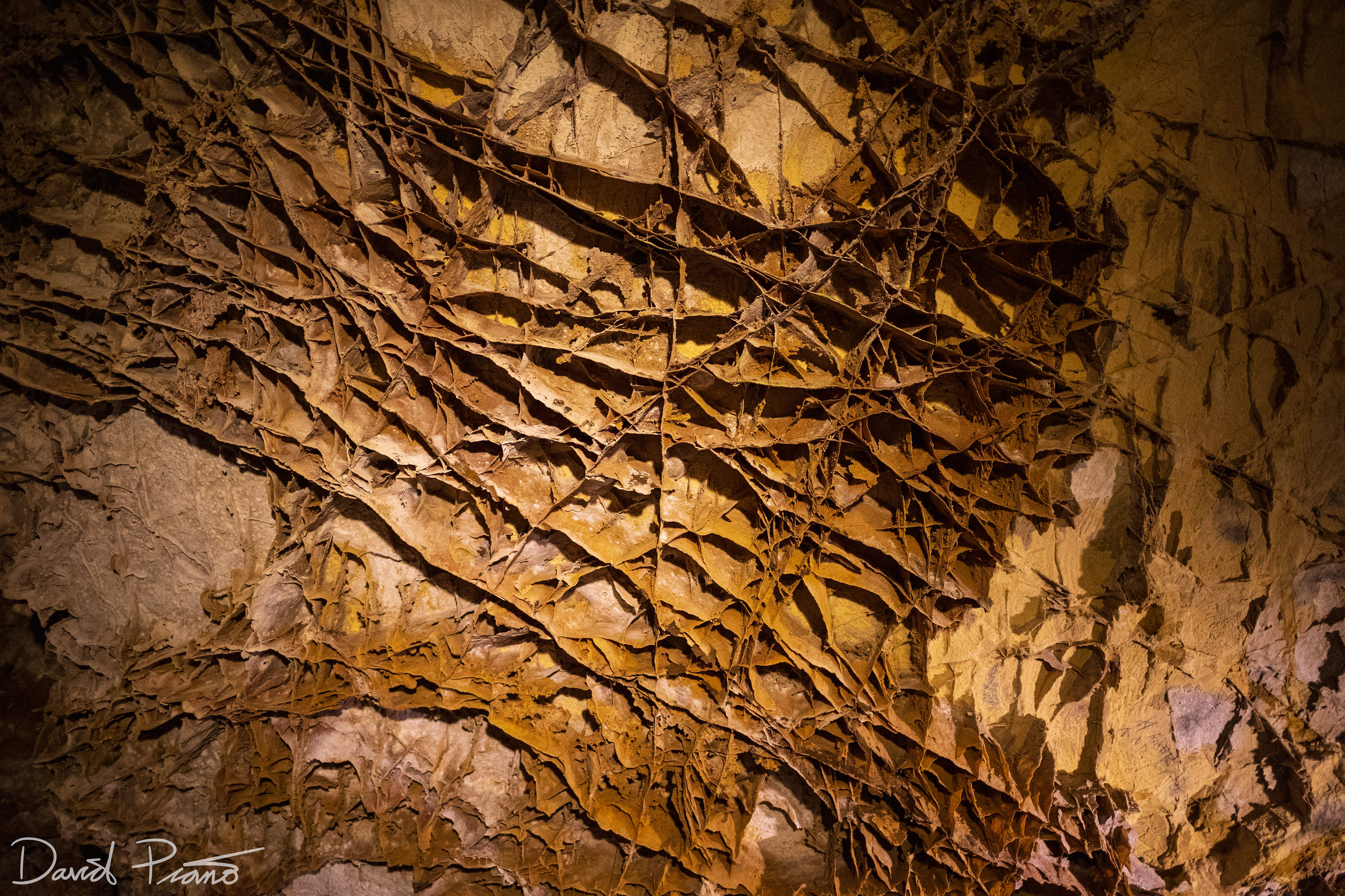 Boxwork formations (blades of calcite) in Wind Cave