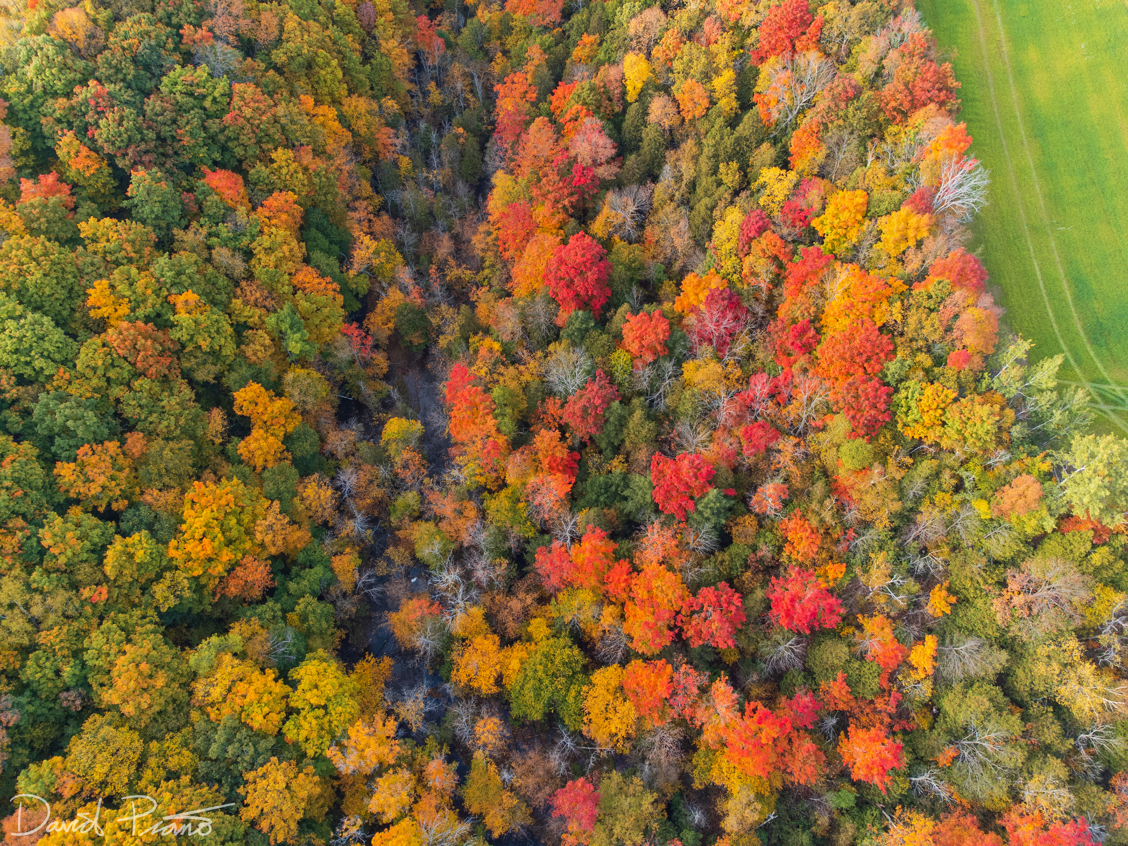 Fall colours in the Kolapore Uplands - October 2021