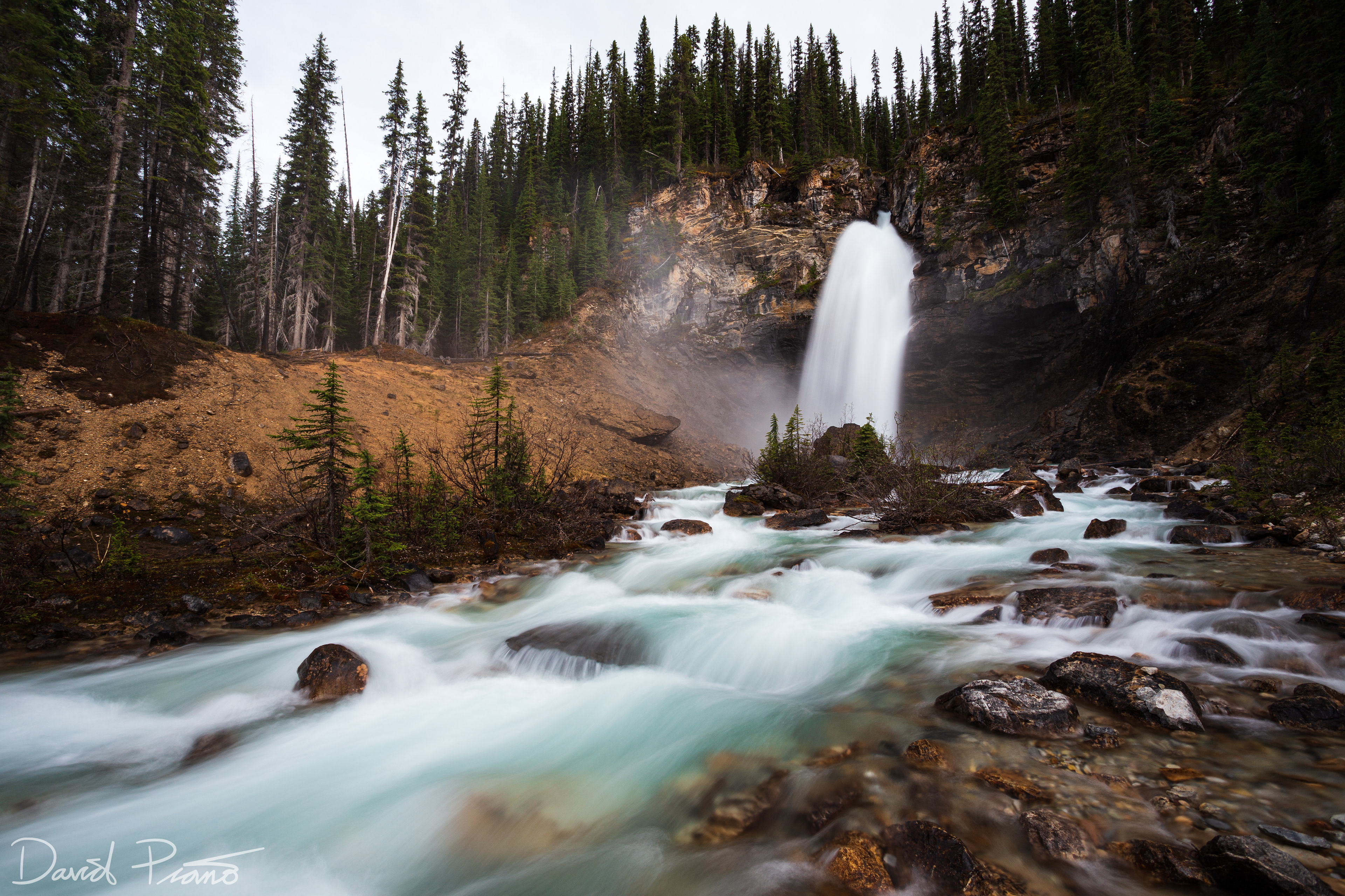 Laughing Falls - Yoho National Park
