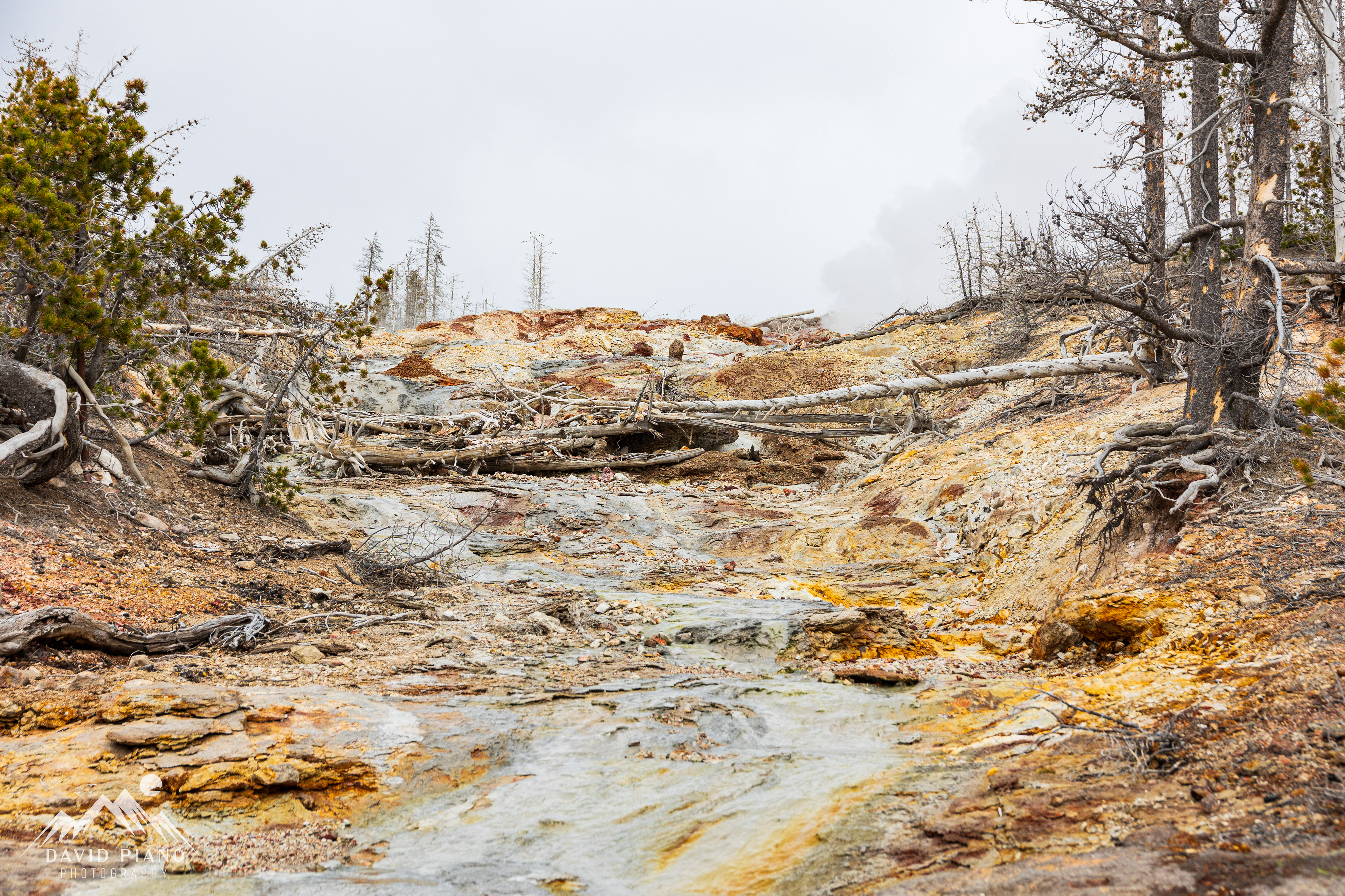 Steamboat Geyser Runoff Channel