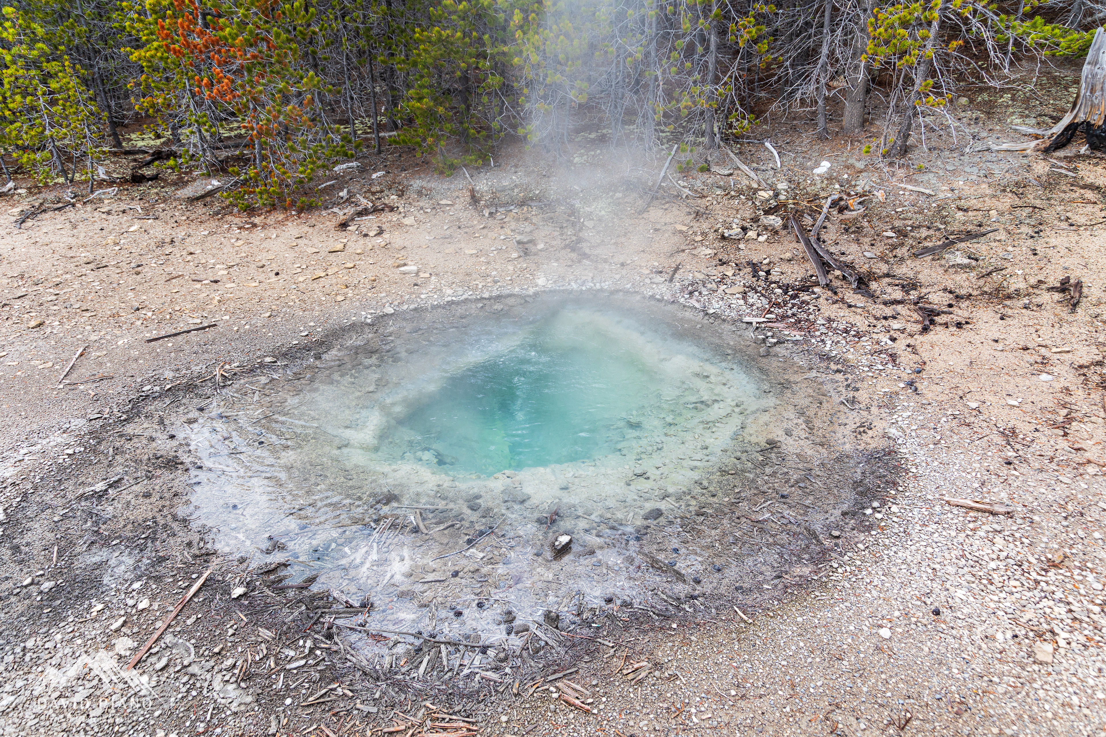 Corporal Geyser