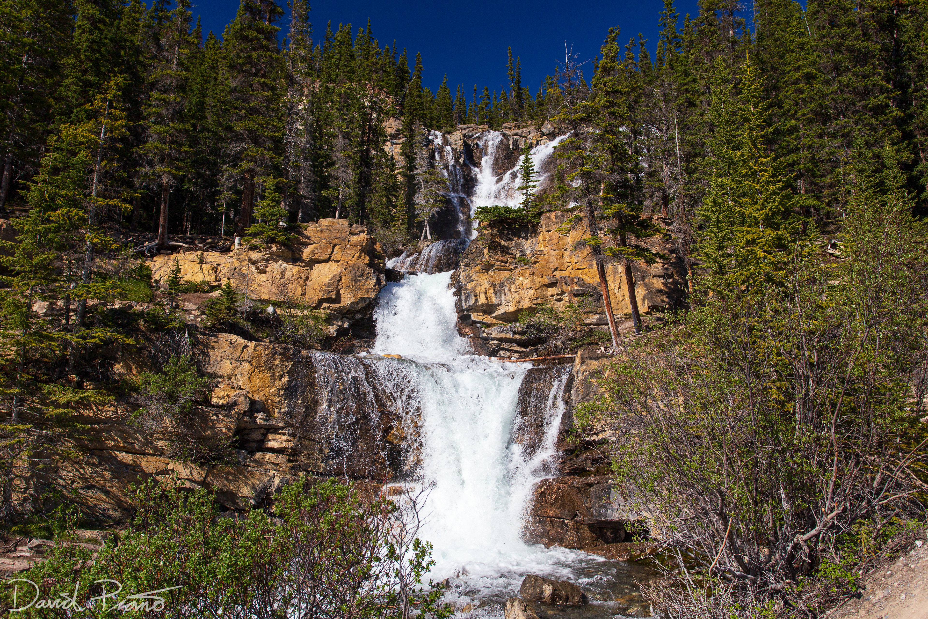 Tangle Creek Falls