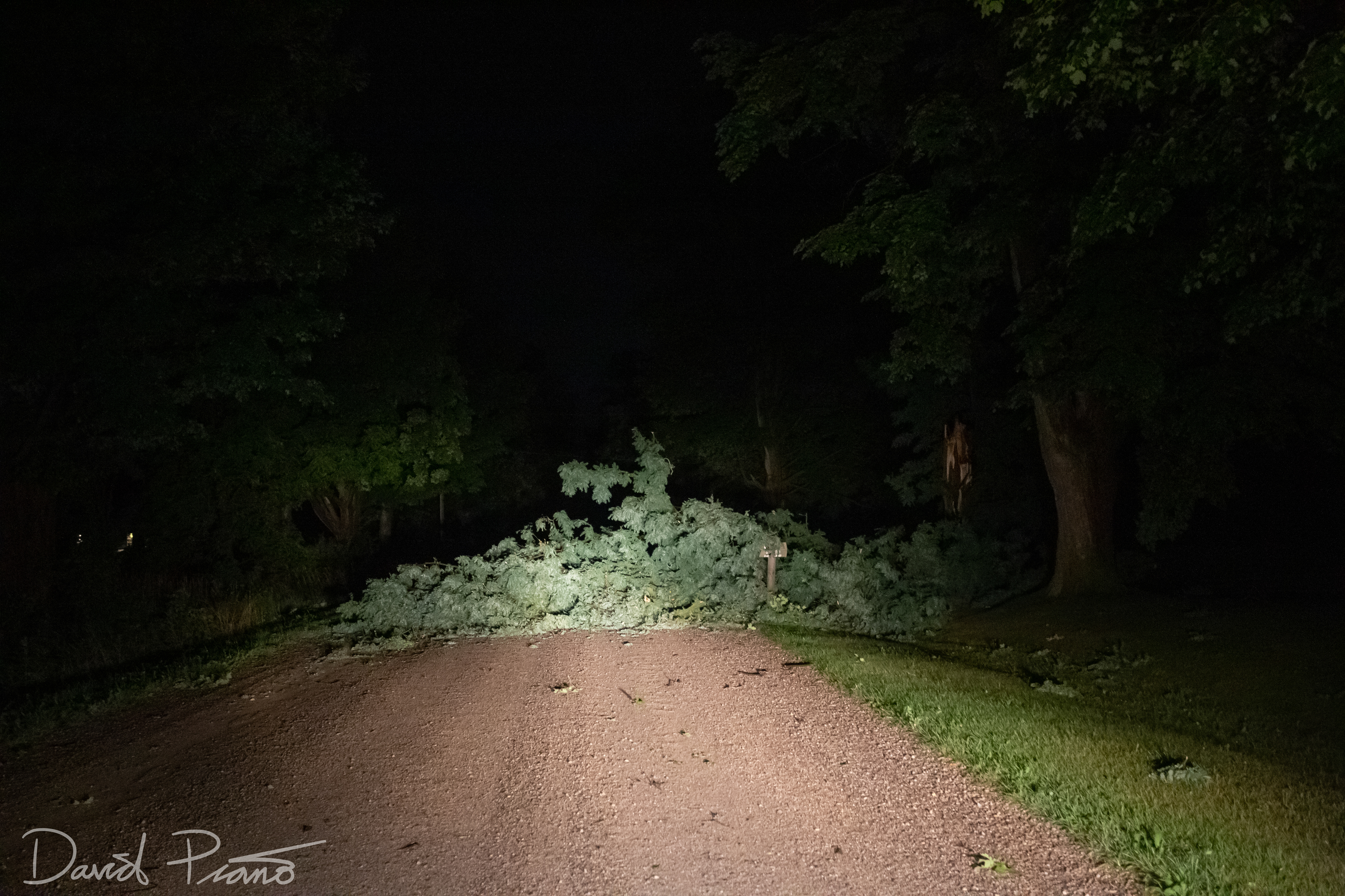 Downburst damage north of Ingersoll early on Aug. 25