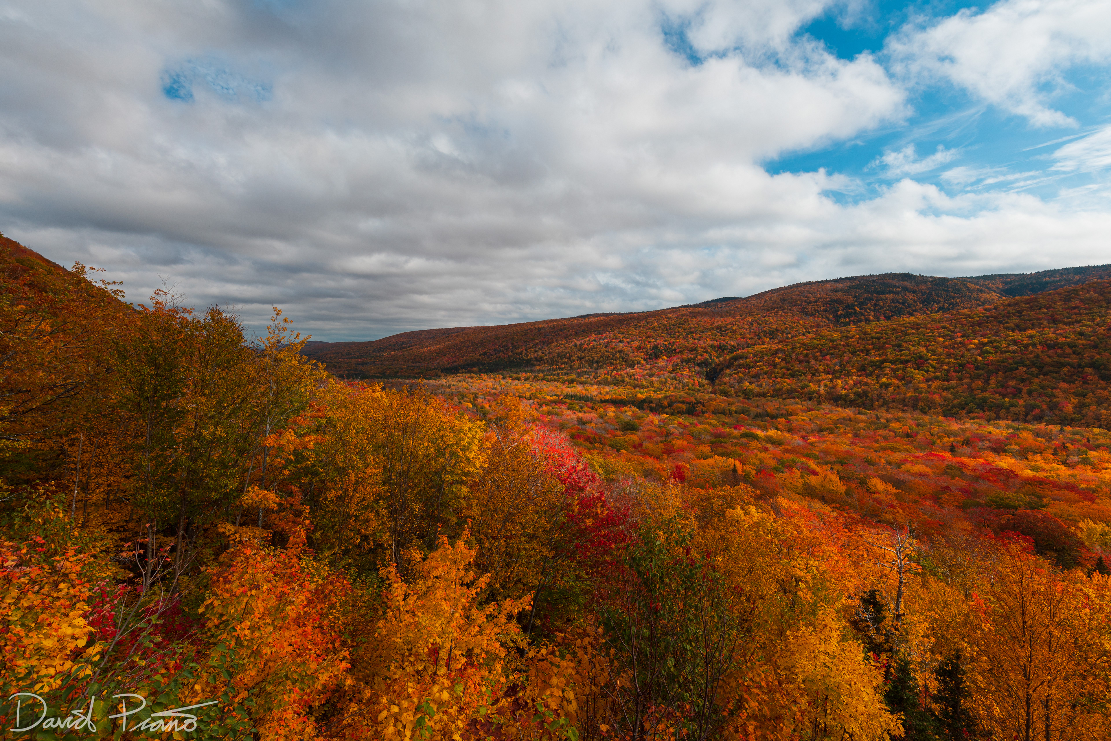 North Mountain Lookout - Autumn 2021