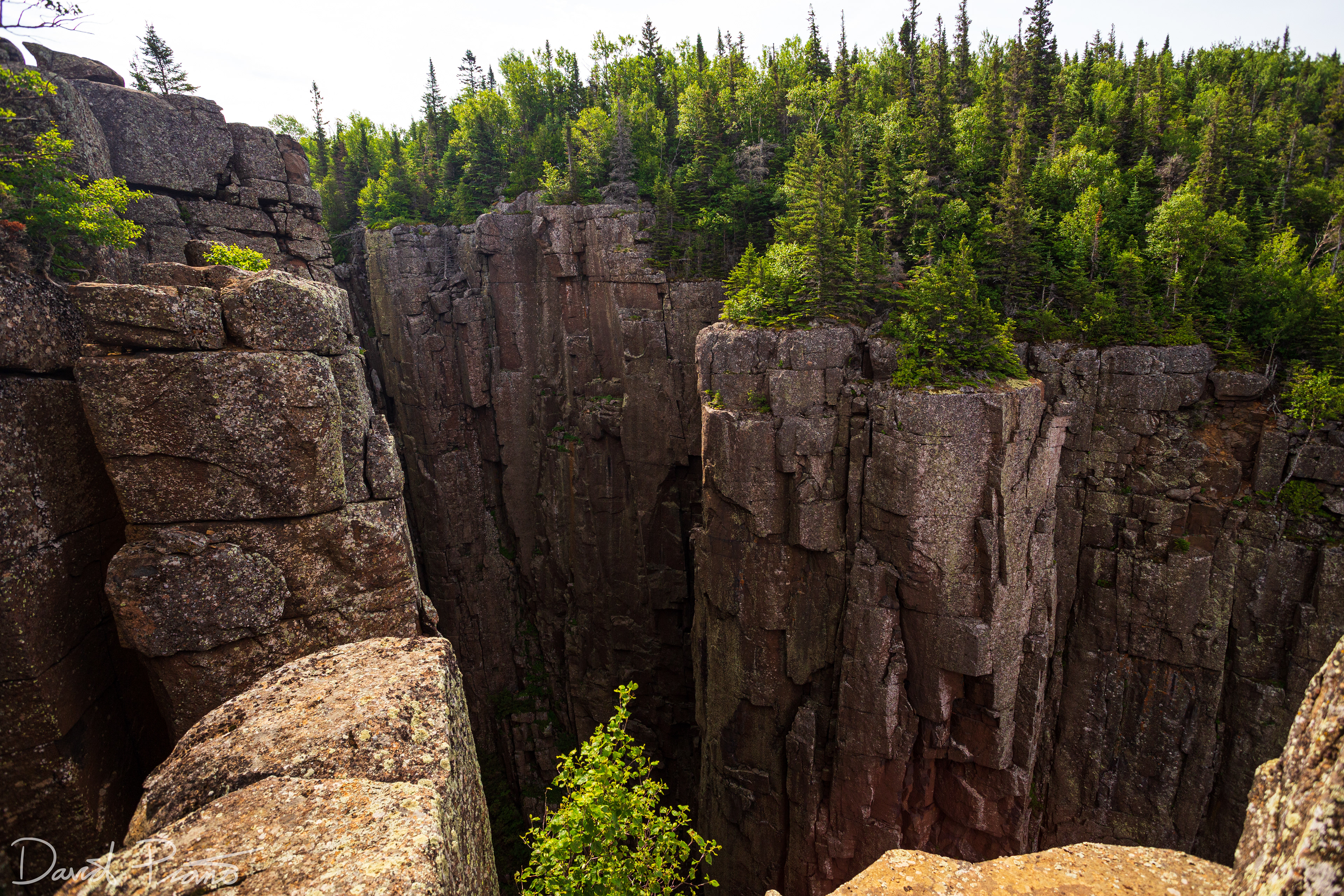 Top of the Giant - Gorge Lookout