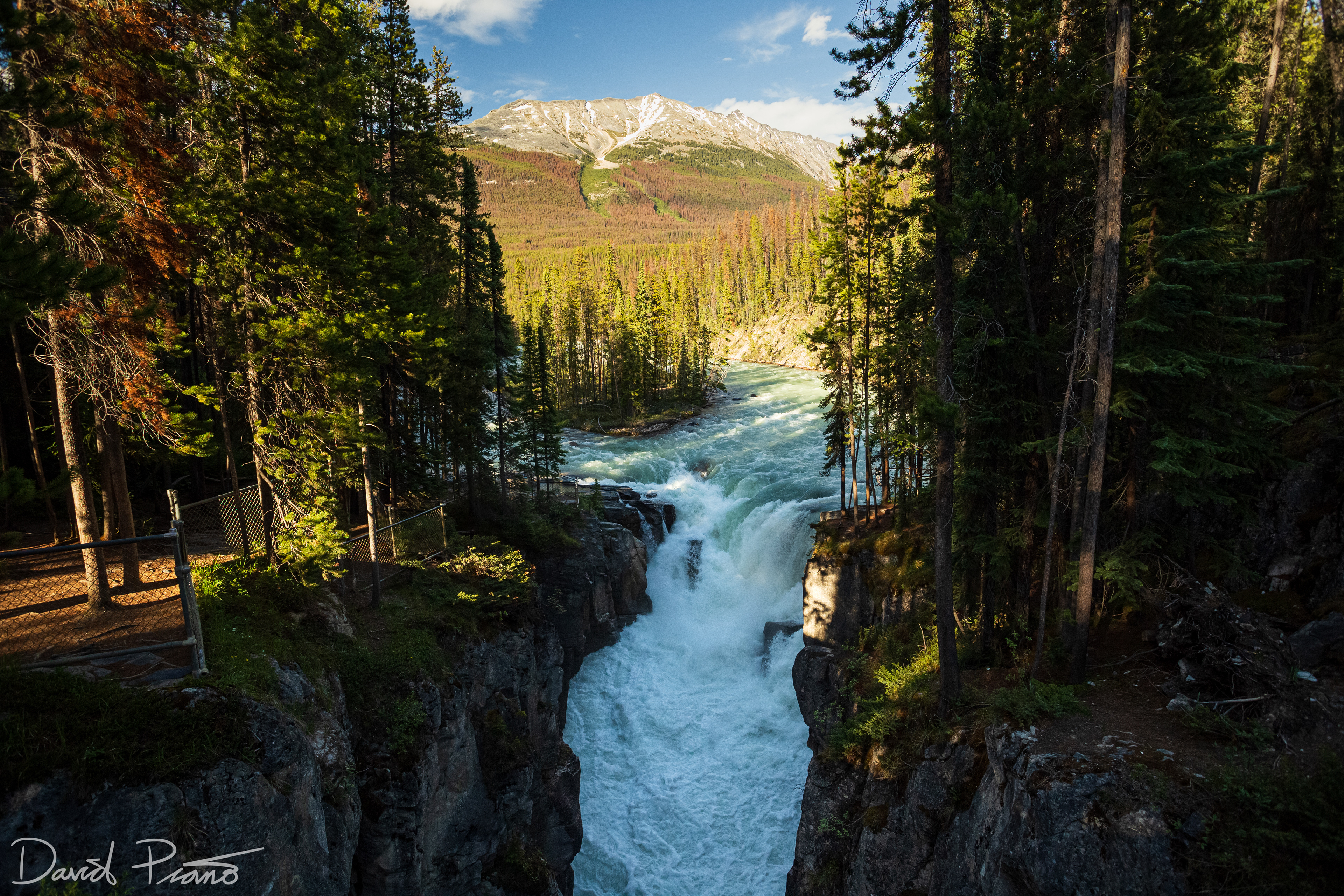 Sunwapta Falls