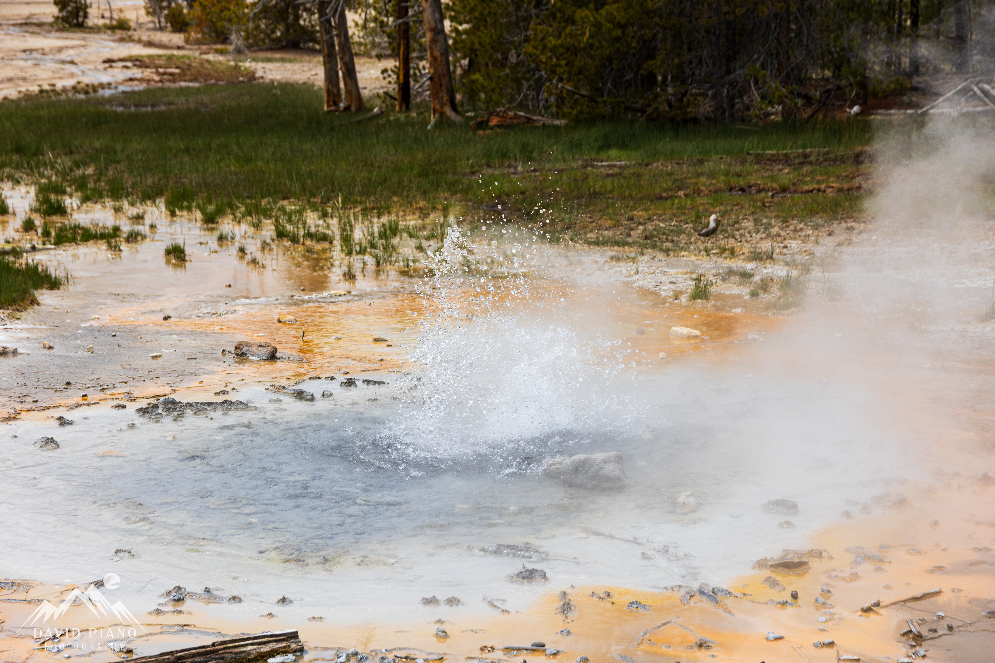 Minute Geyser