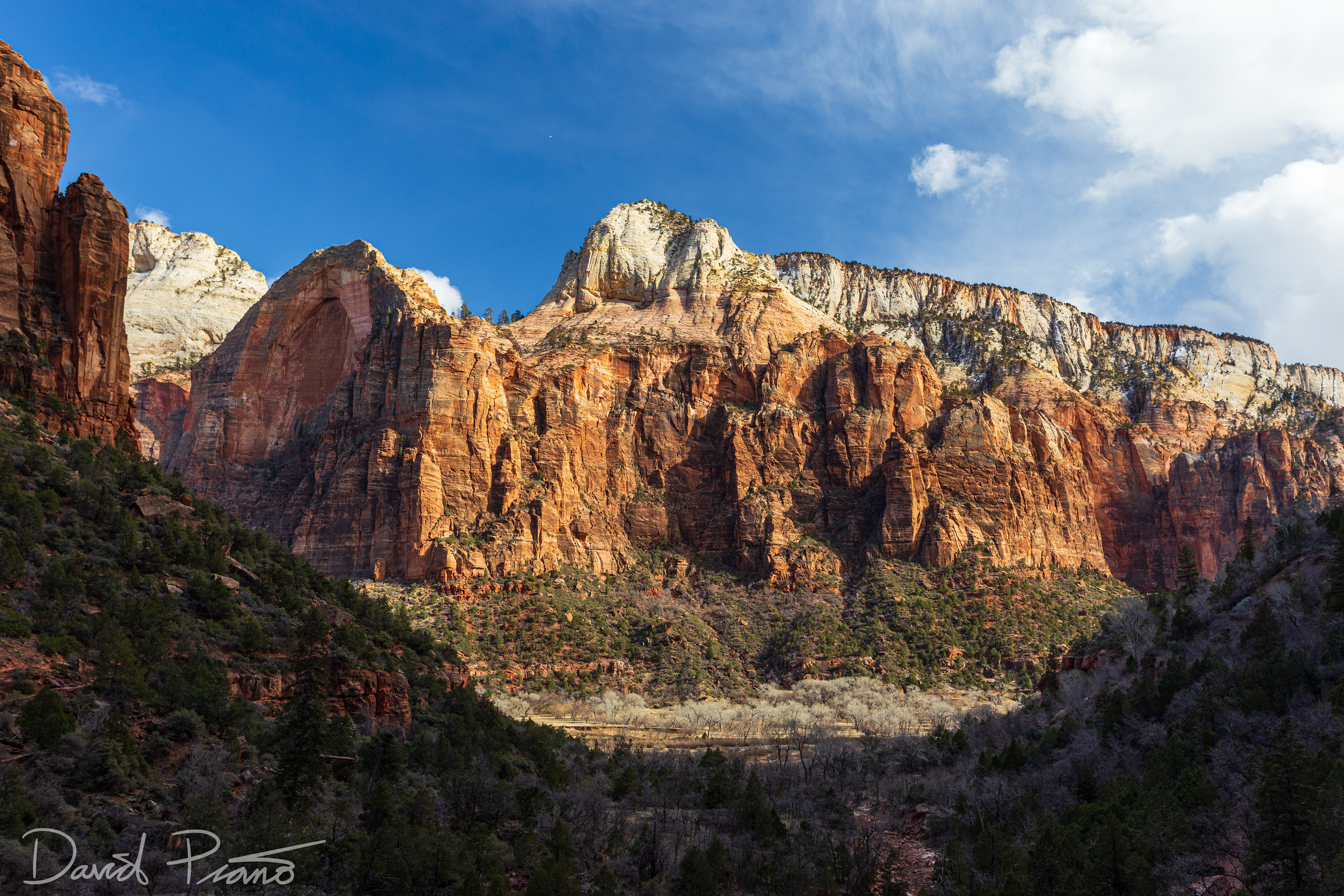 Zion Canyon - Feb. 2020