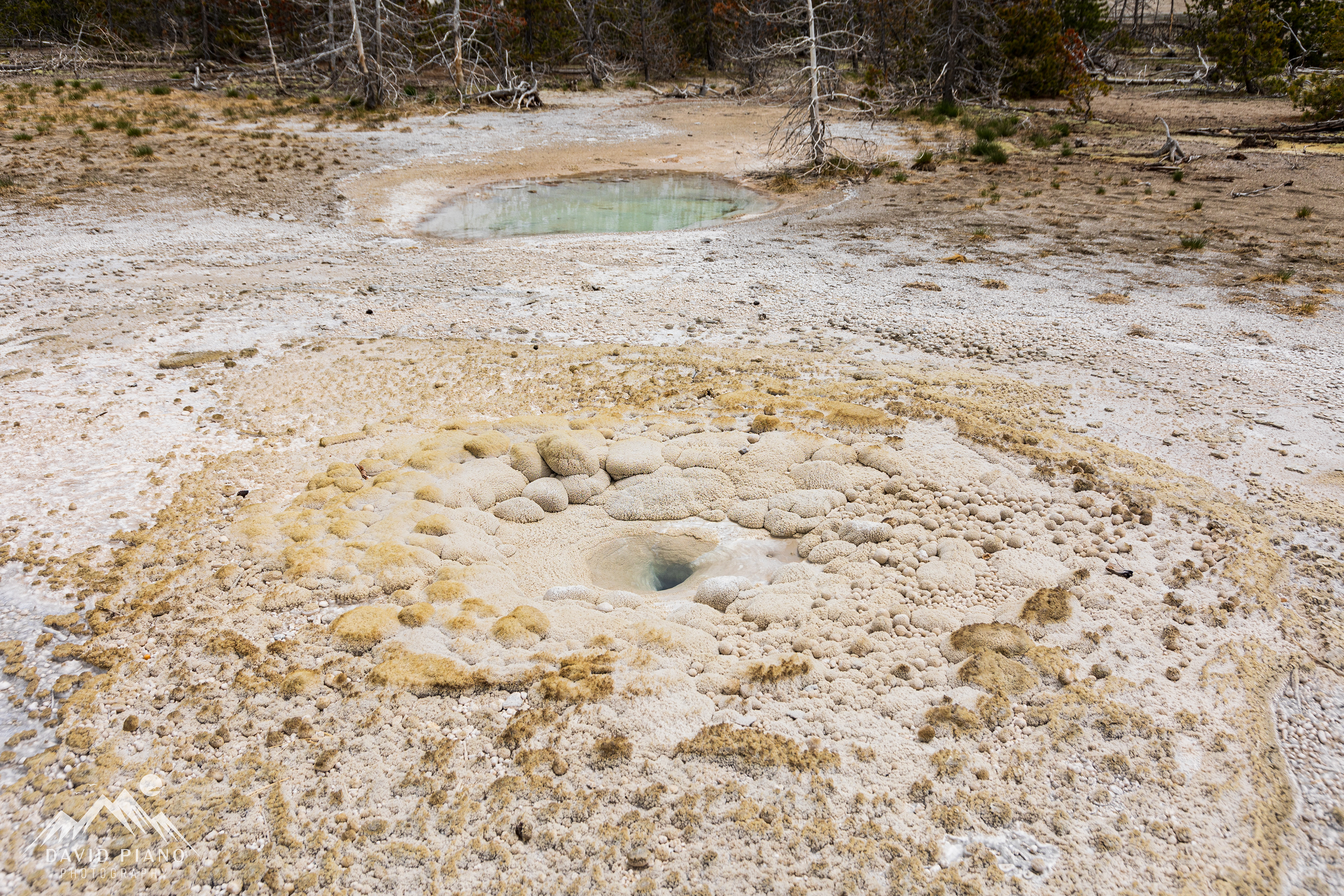 Vixen Geyser vent and sinter formations