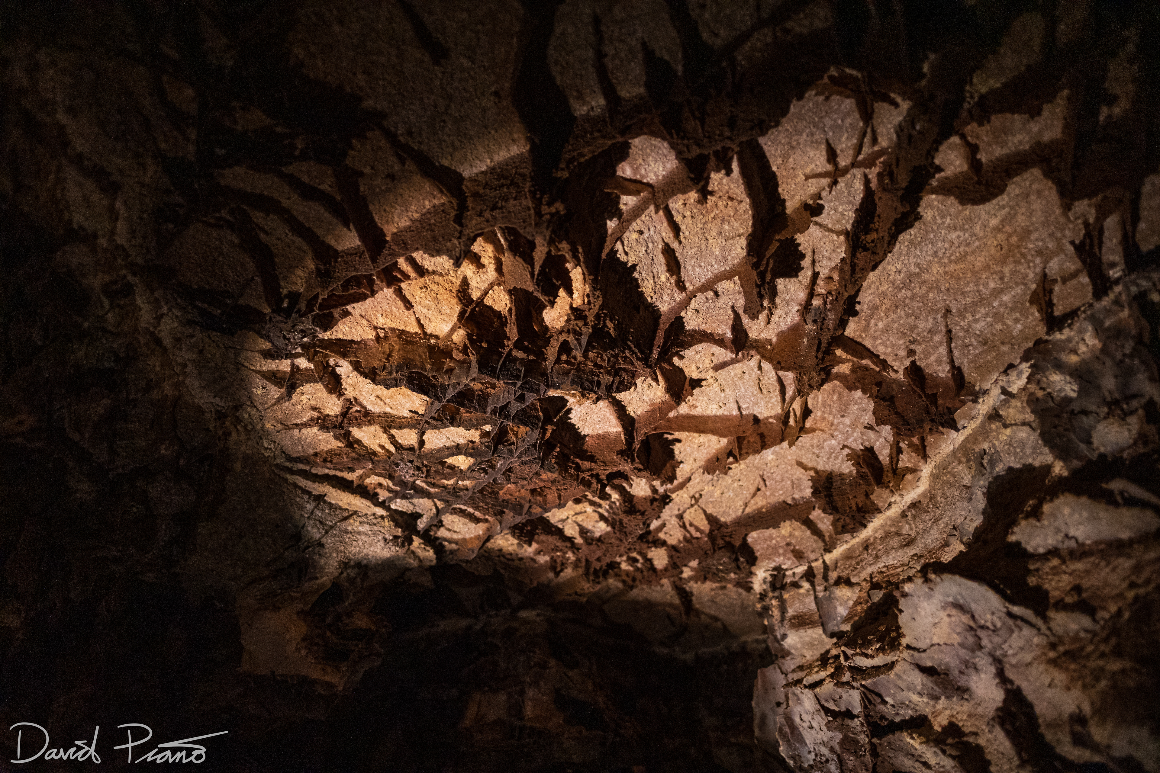 Boxwork formations (blades of calcite) in Wind Cave