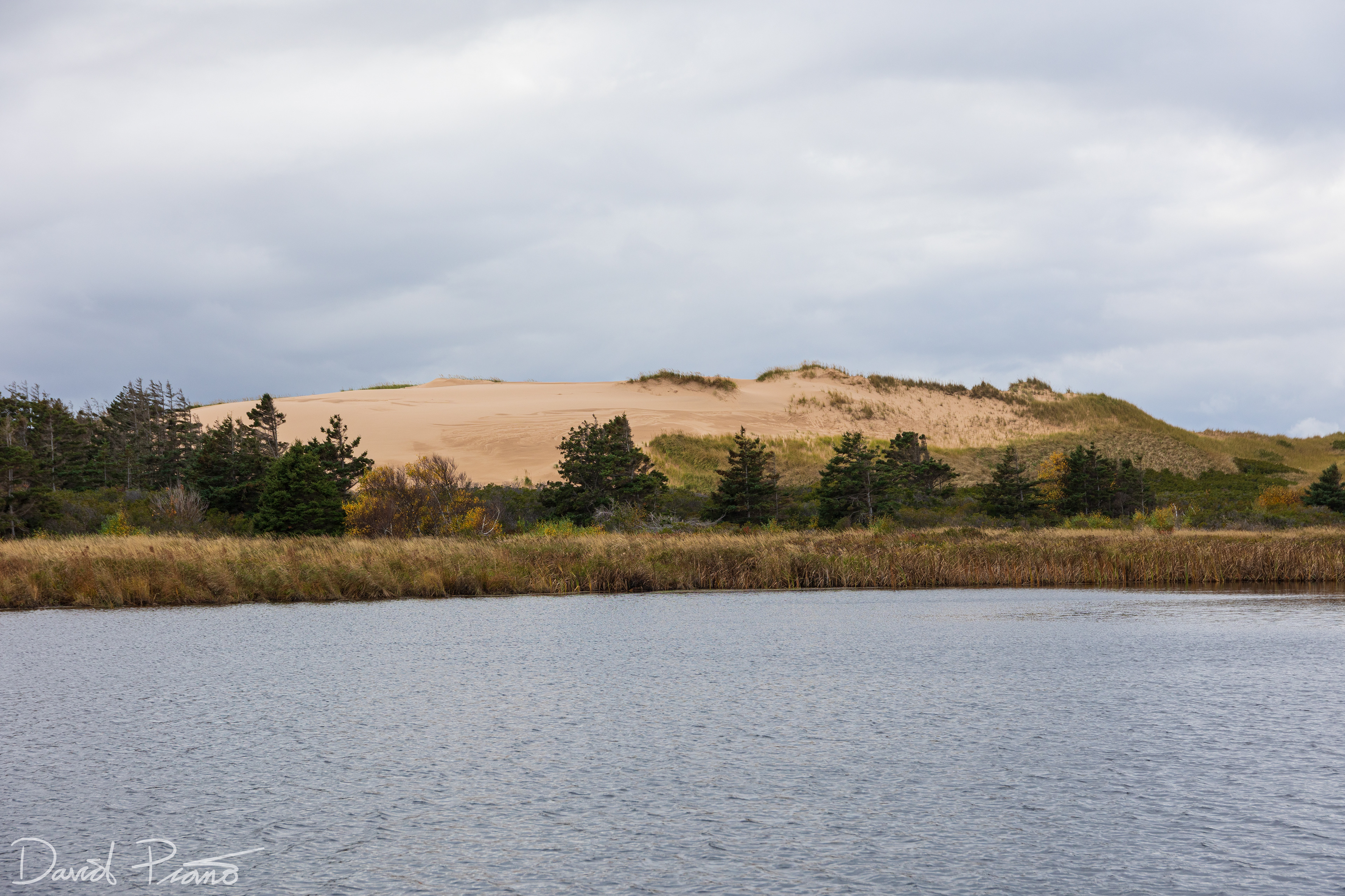 Greenwich Sand Dunes