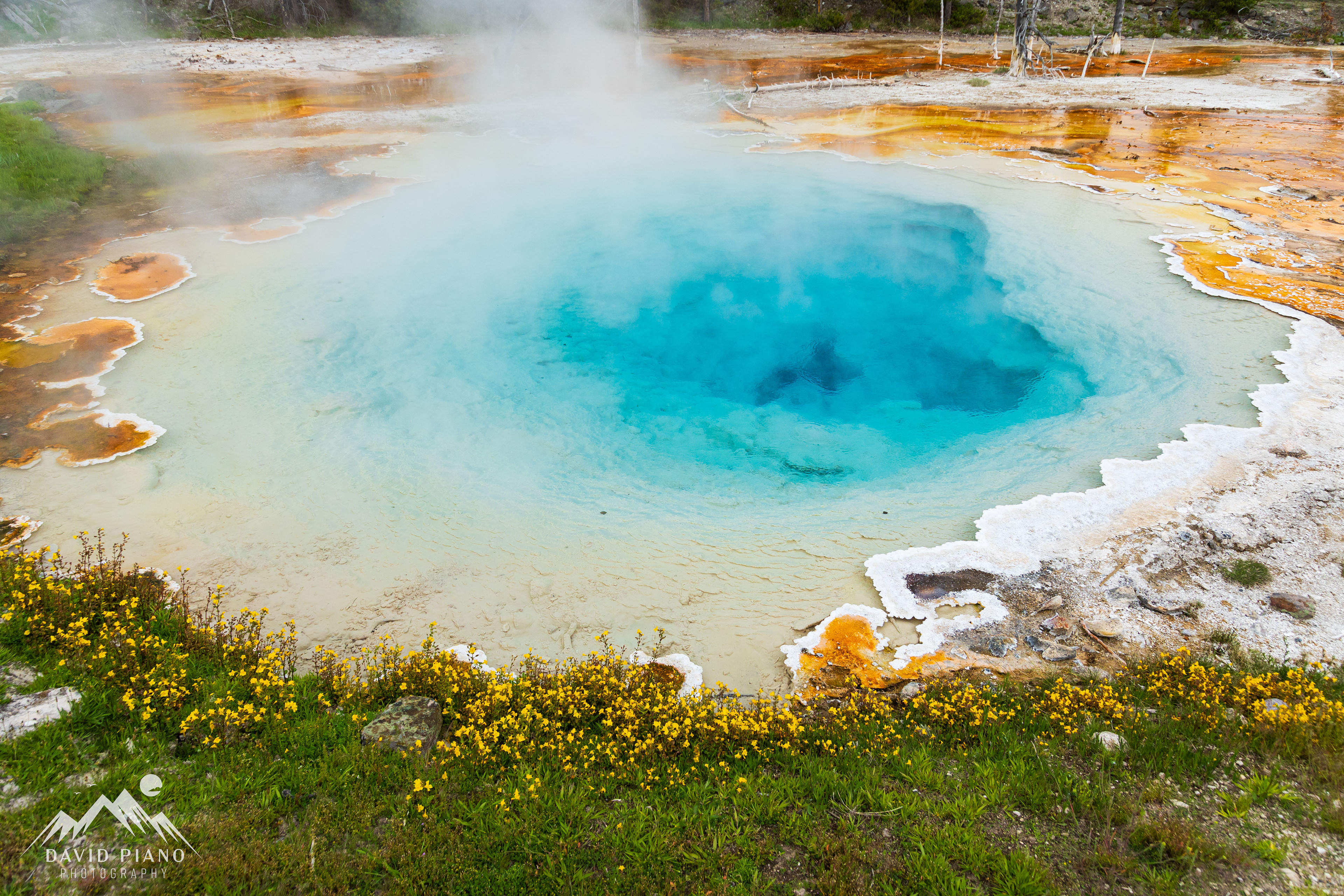 Silex Spring