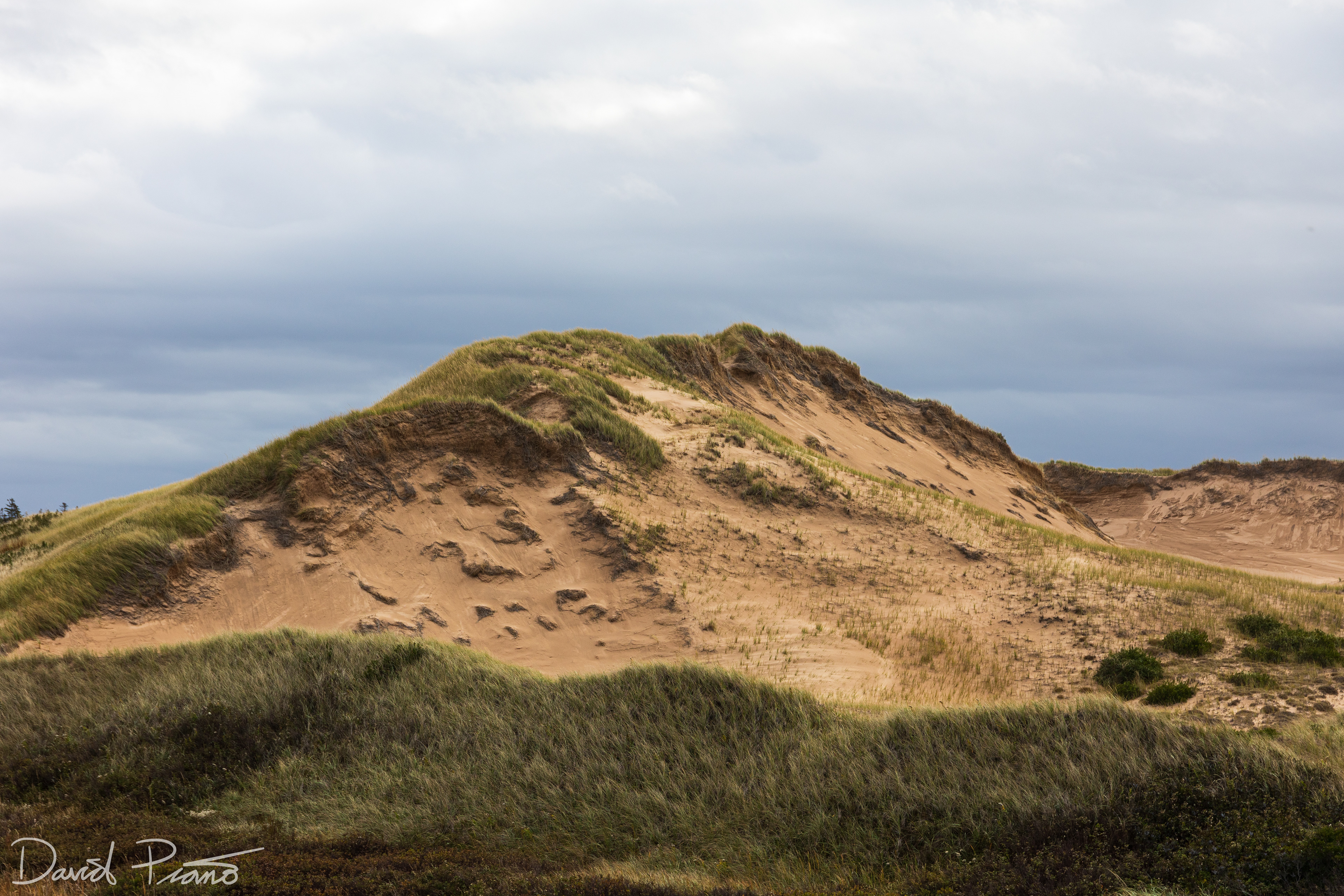Greenwich Sand Dunes