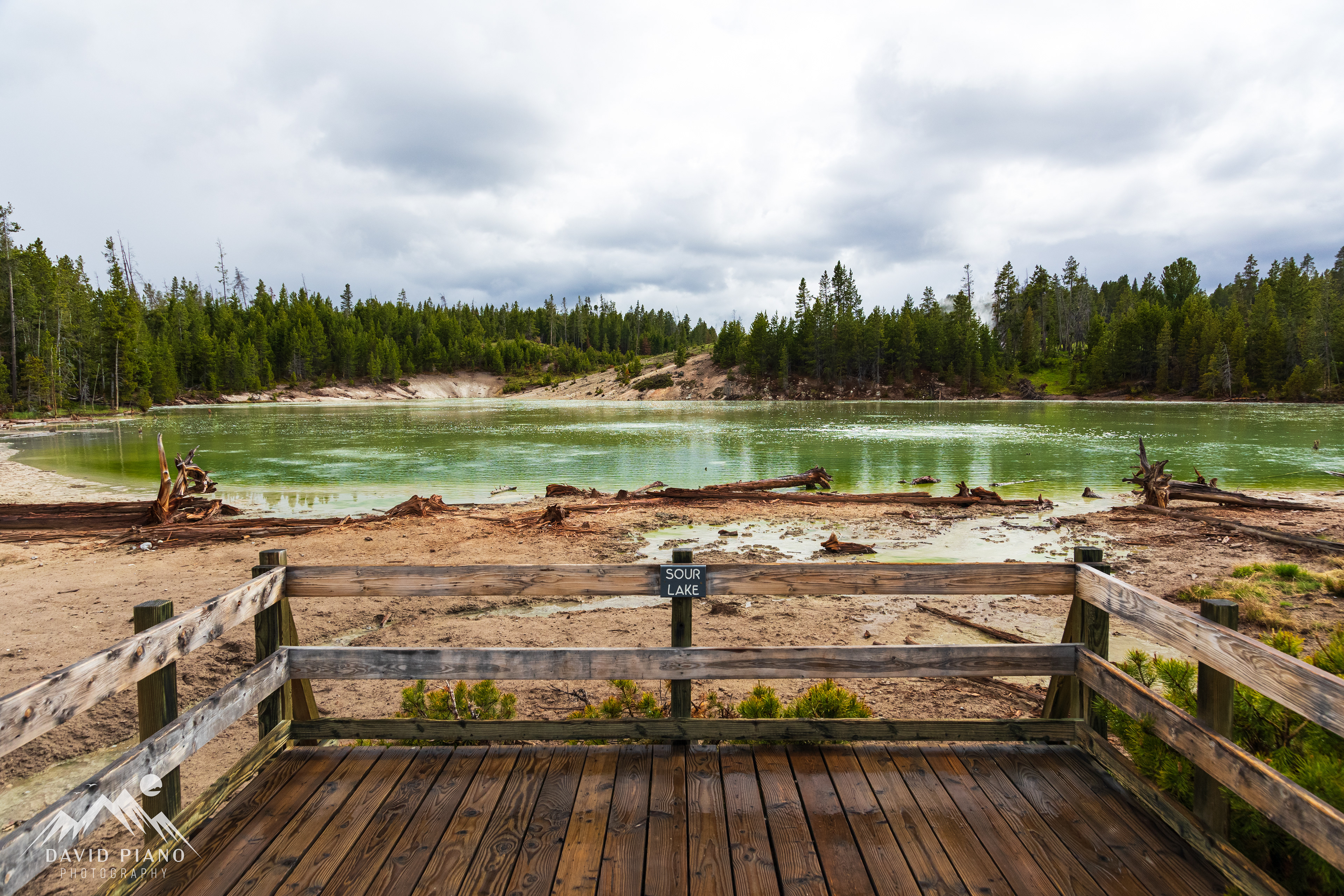 Sour Lake