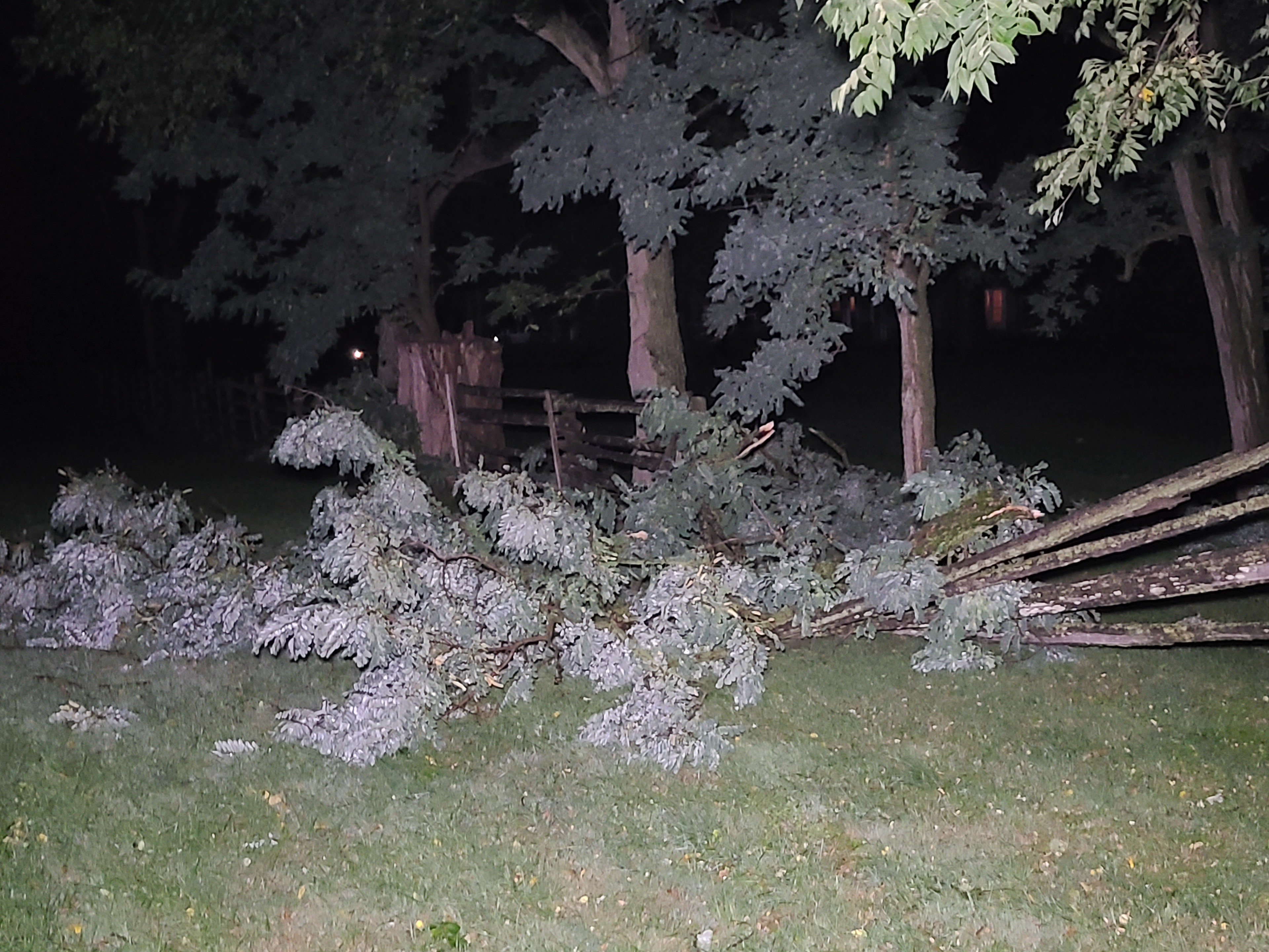 Downburst damage north of Ingersoll early on Aug. 25
