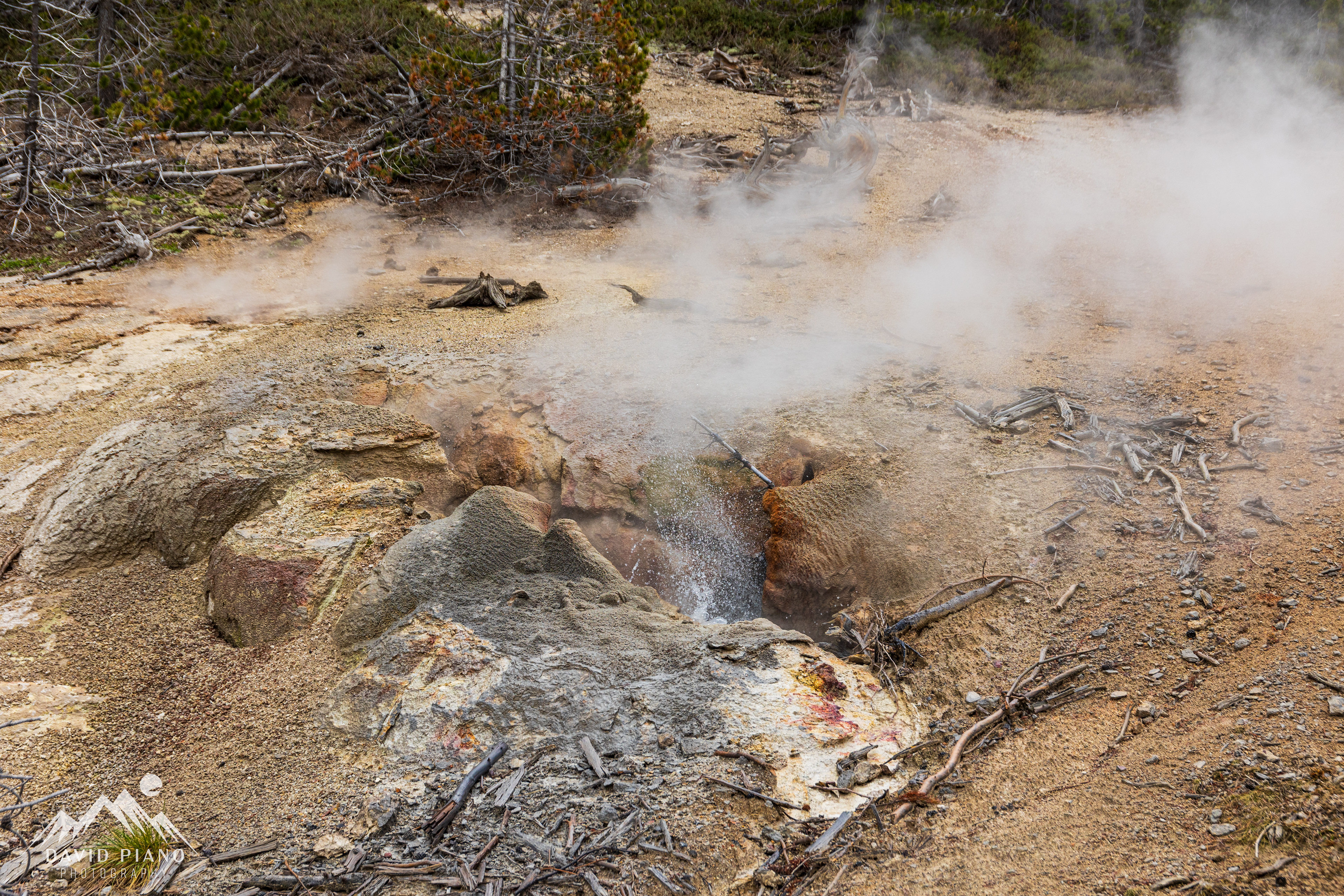 Puff 'n Stuff Geyser