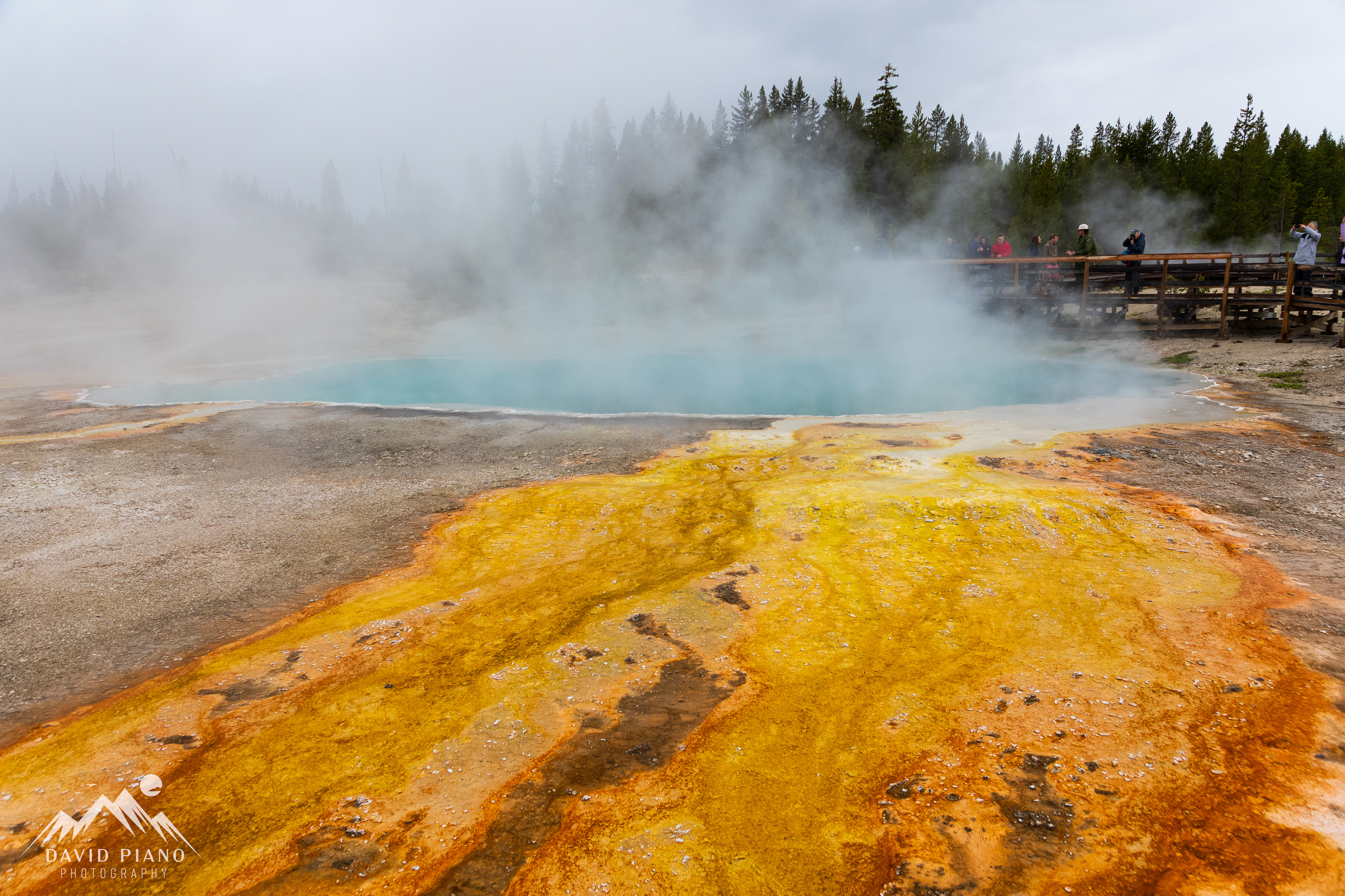 Vibrant thermophiles at Black Pool