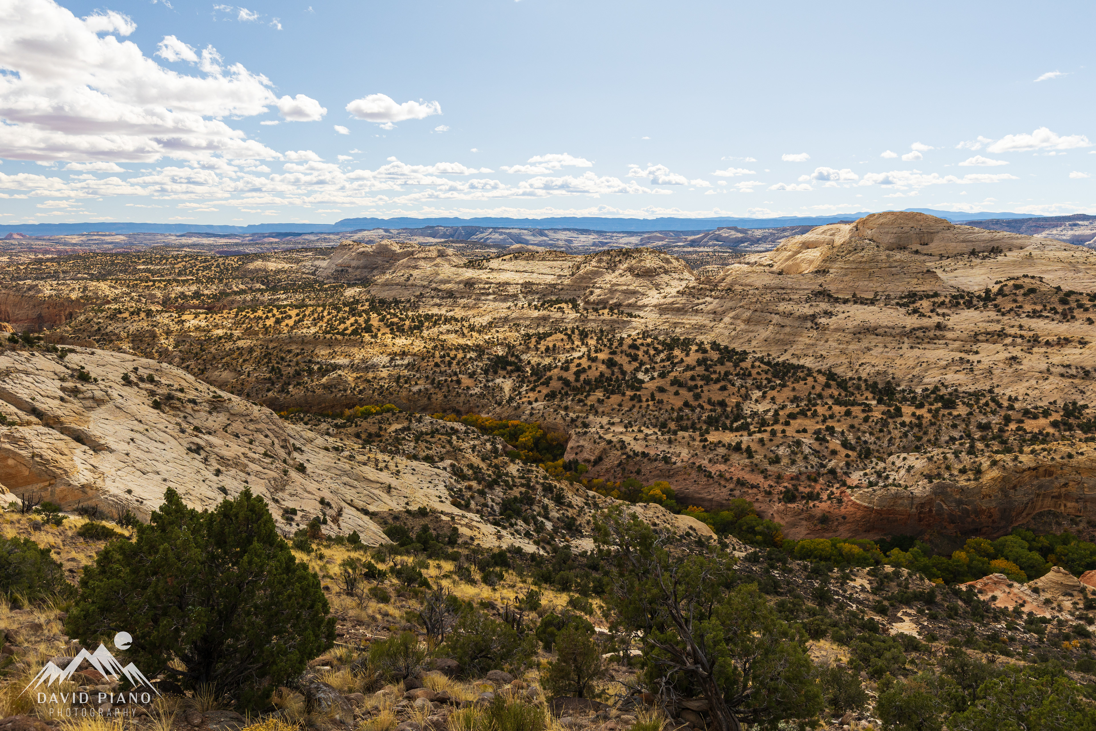 Calf Creek Canyon
