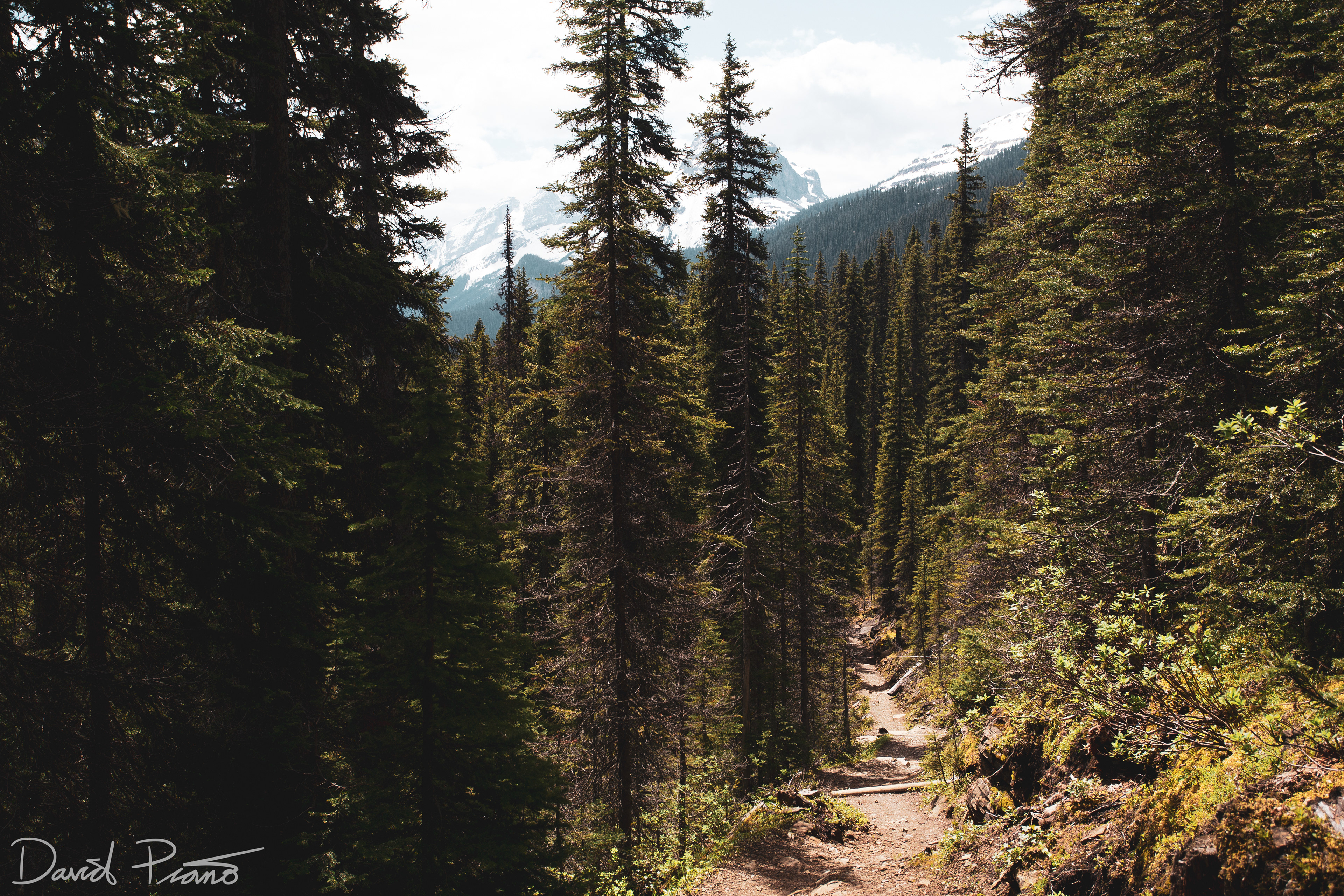 Hiking in Yoho National Park