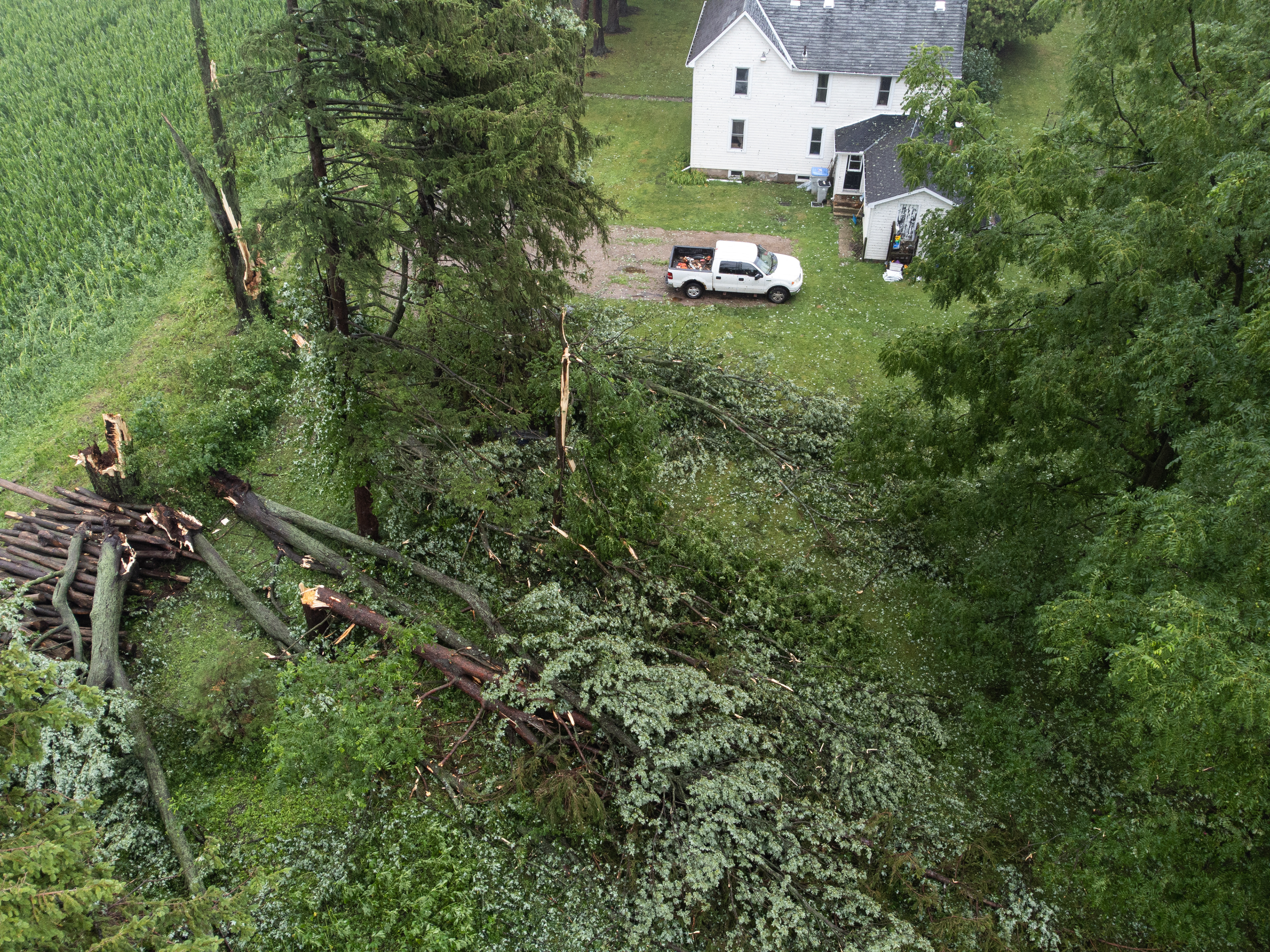 July 7 - Aerial view of downburst damage near Cairo in Lambton County from supercell RFD winds