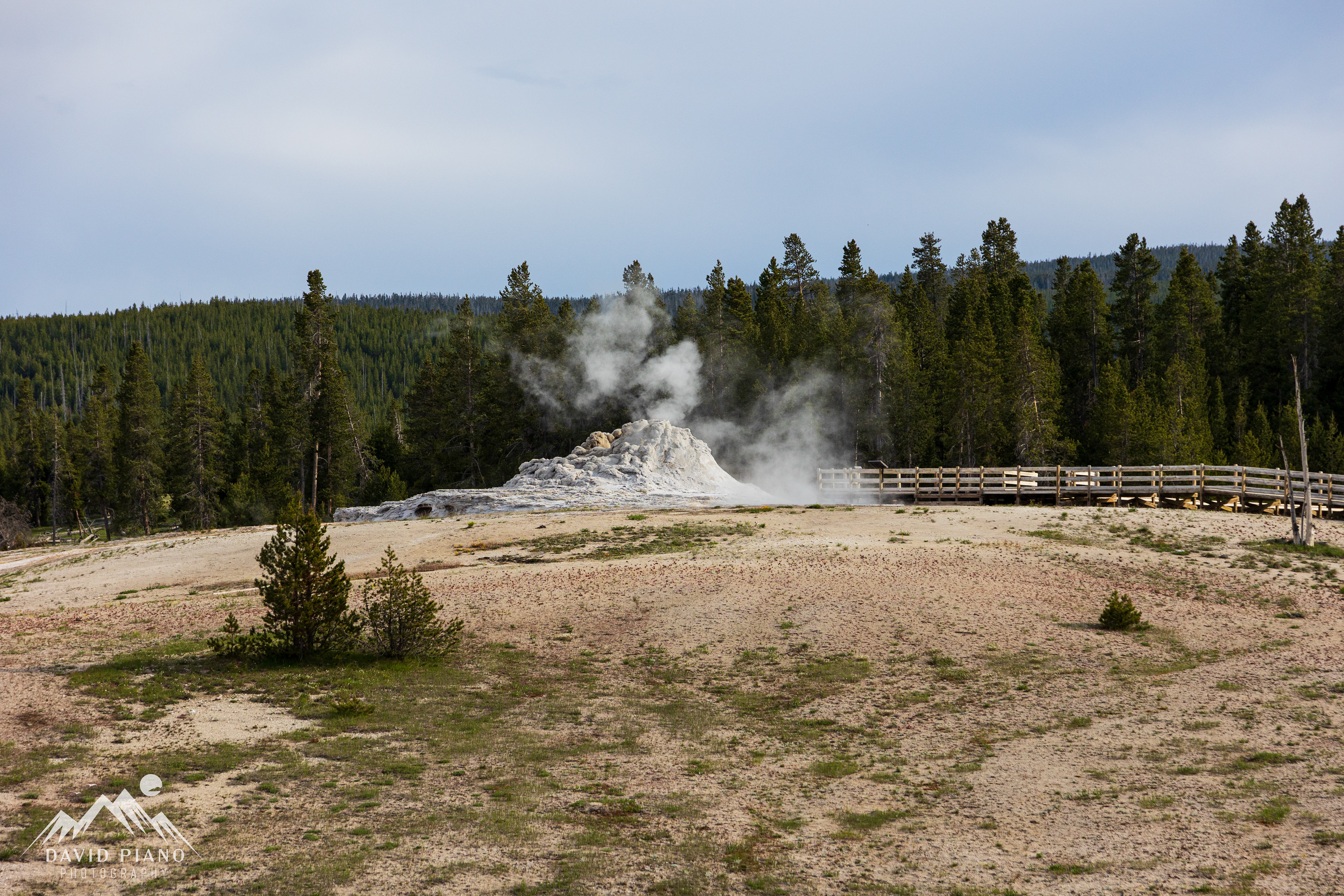 Castle Geyser