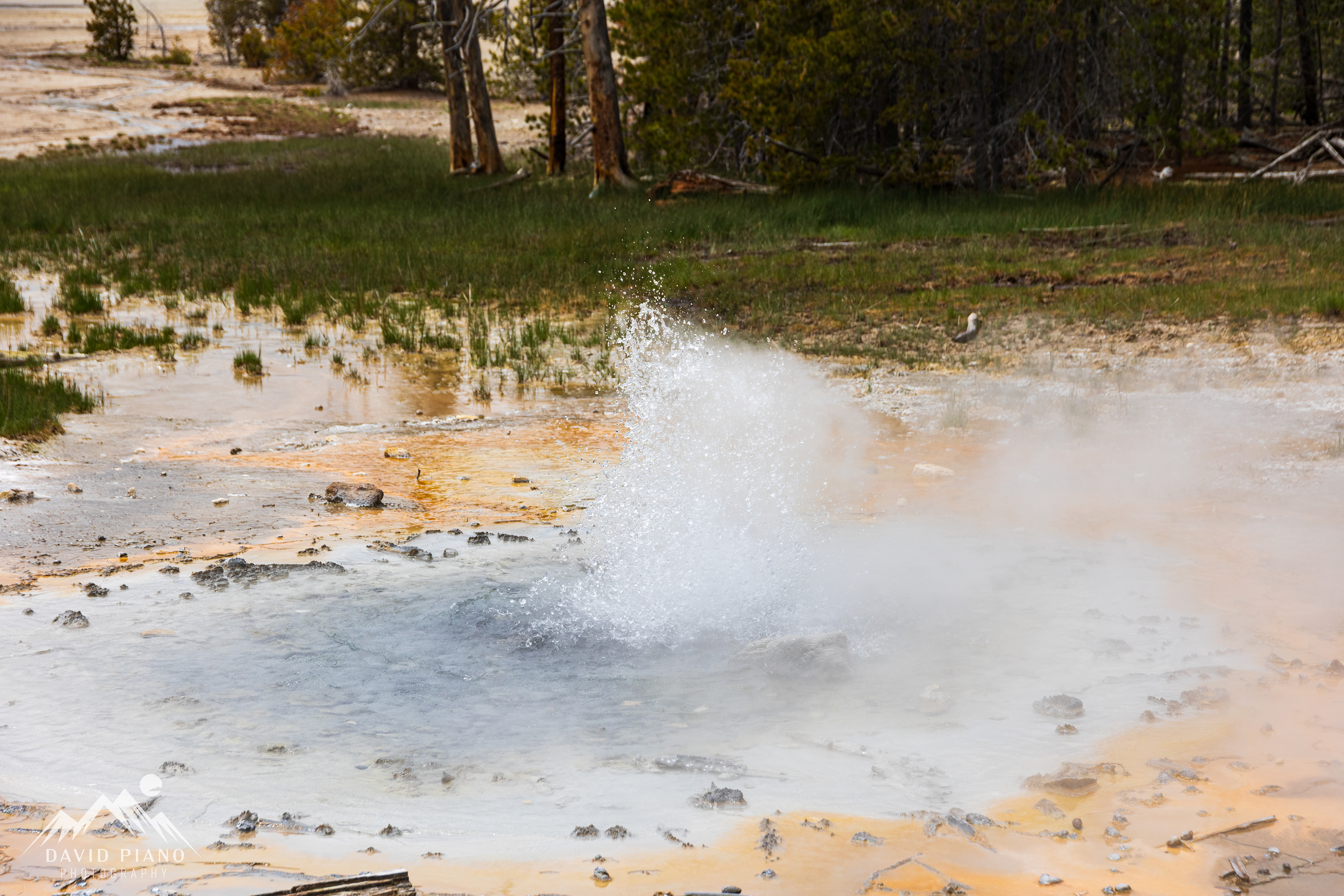Minute Geyser